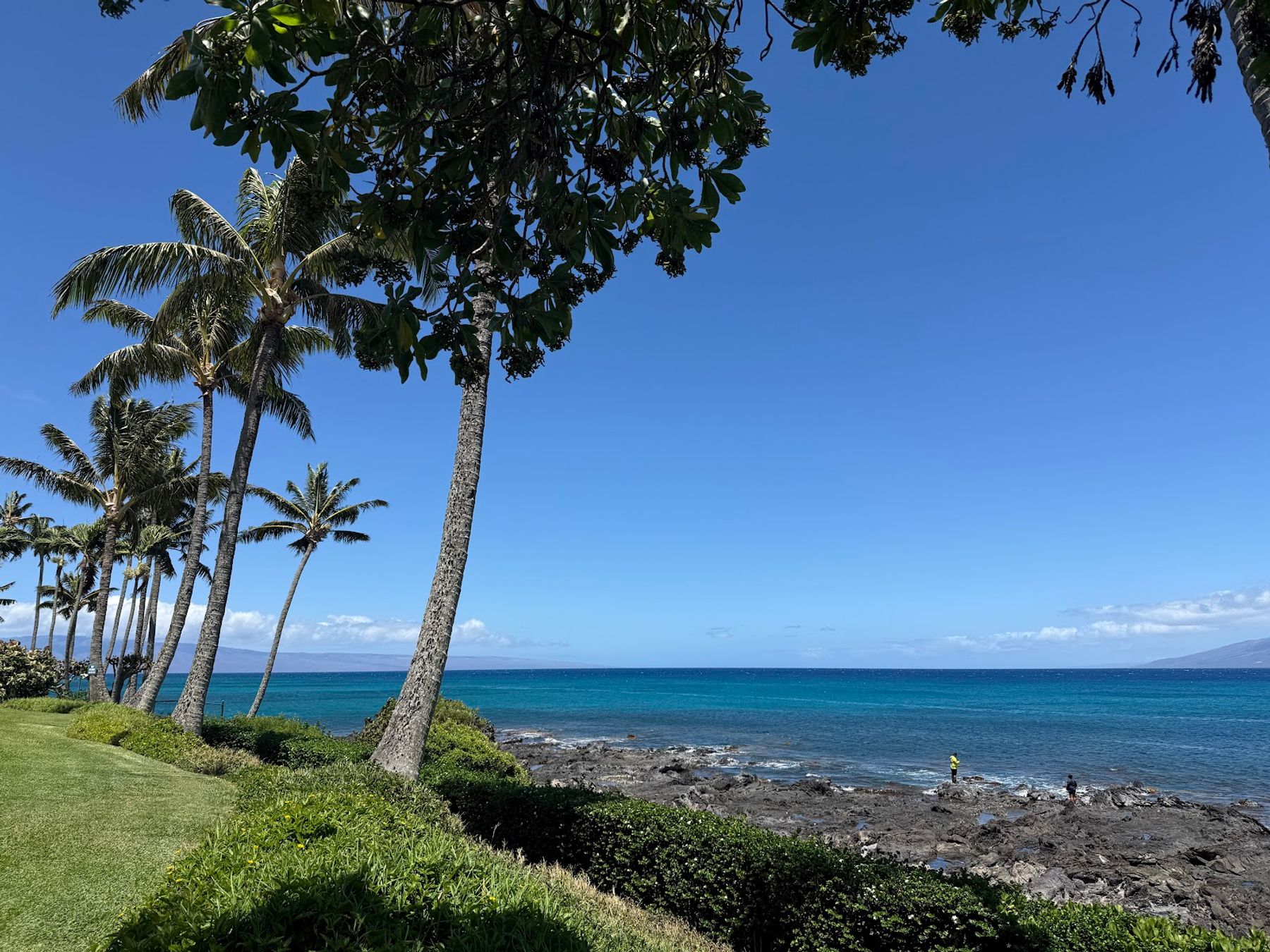 Photo 5 of The Gazebo in Kapalua, Maui