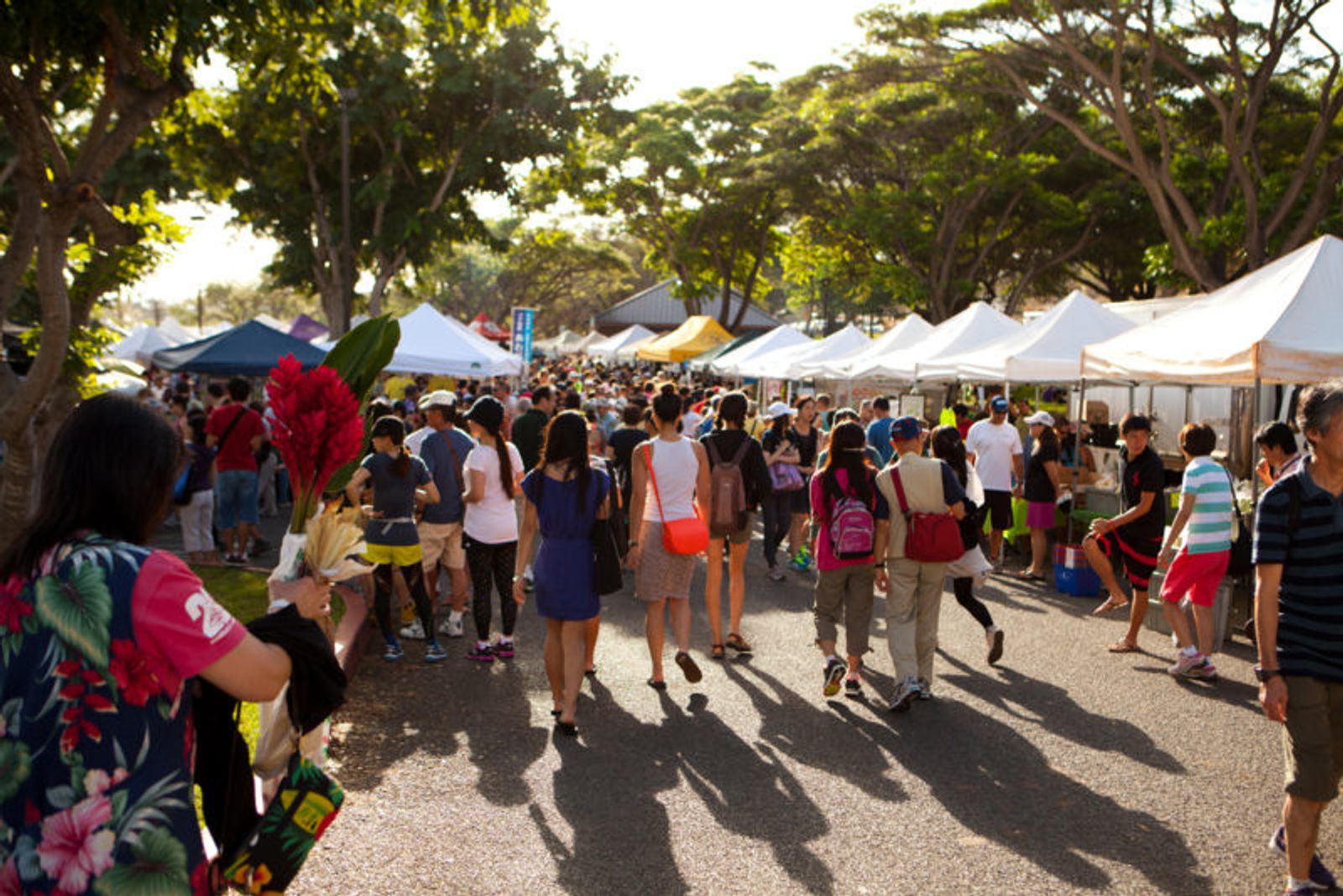 Farmers Markets on Kauai: The Best Ones and What to Buy