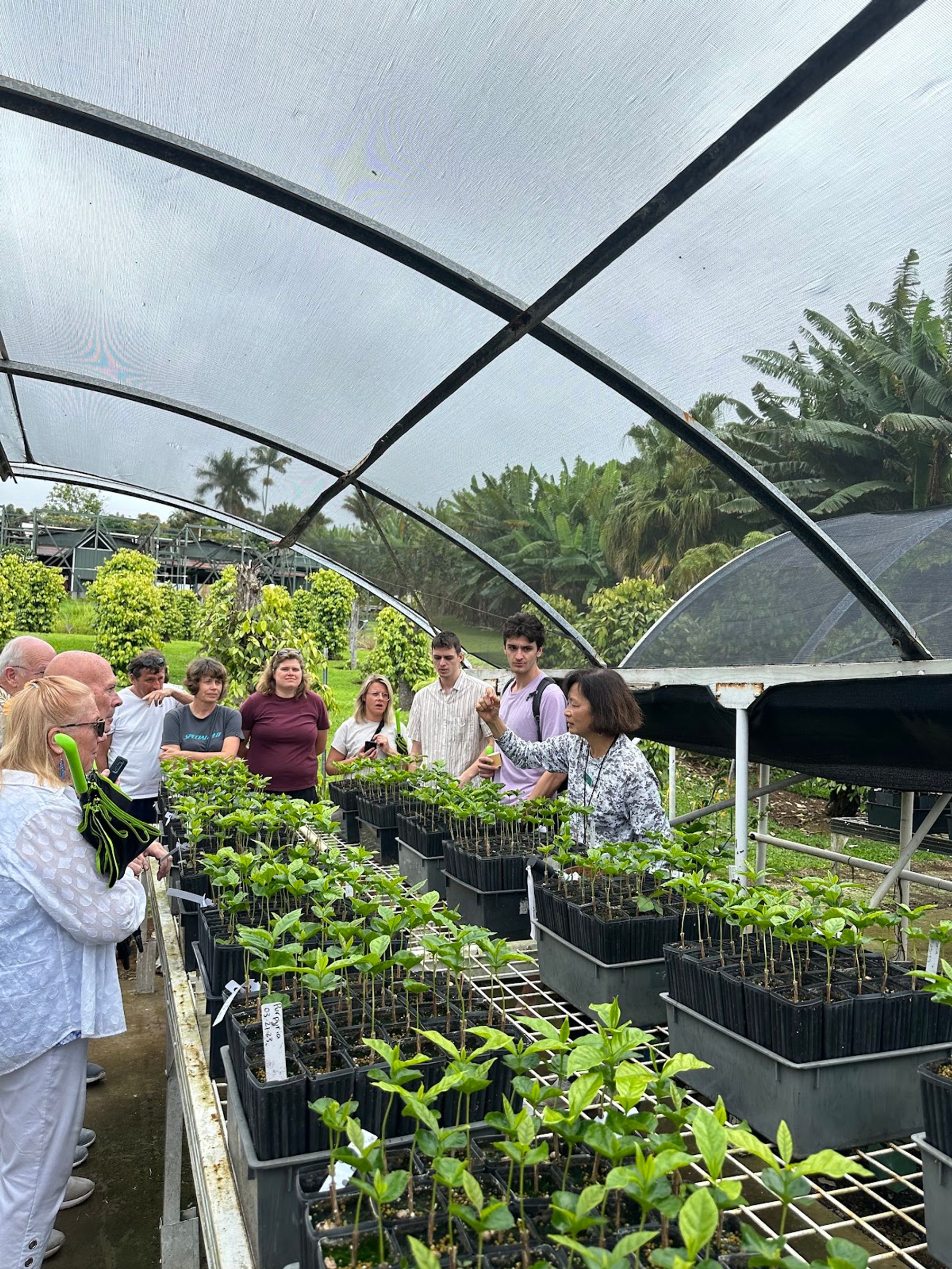 Photo 10 of Greenwell Farms in South Kona, Big Island