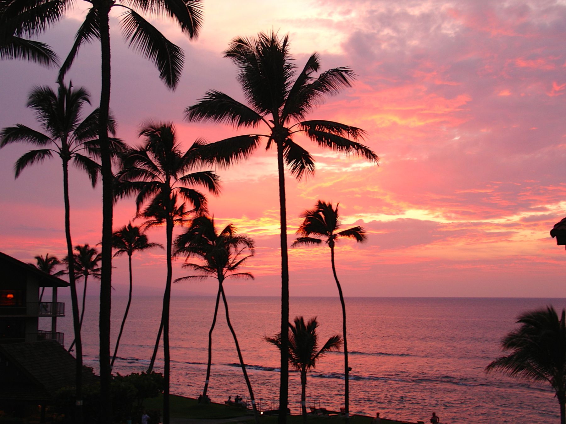 Photo 8 of Papakea Oceanfront Resort in Kapalua, Maui