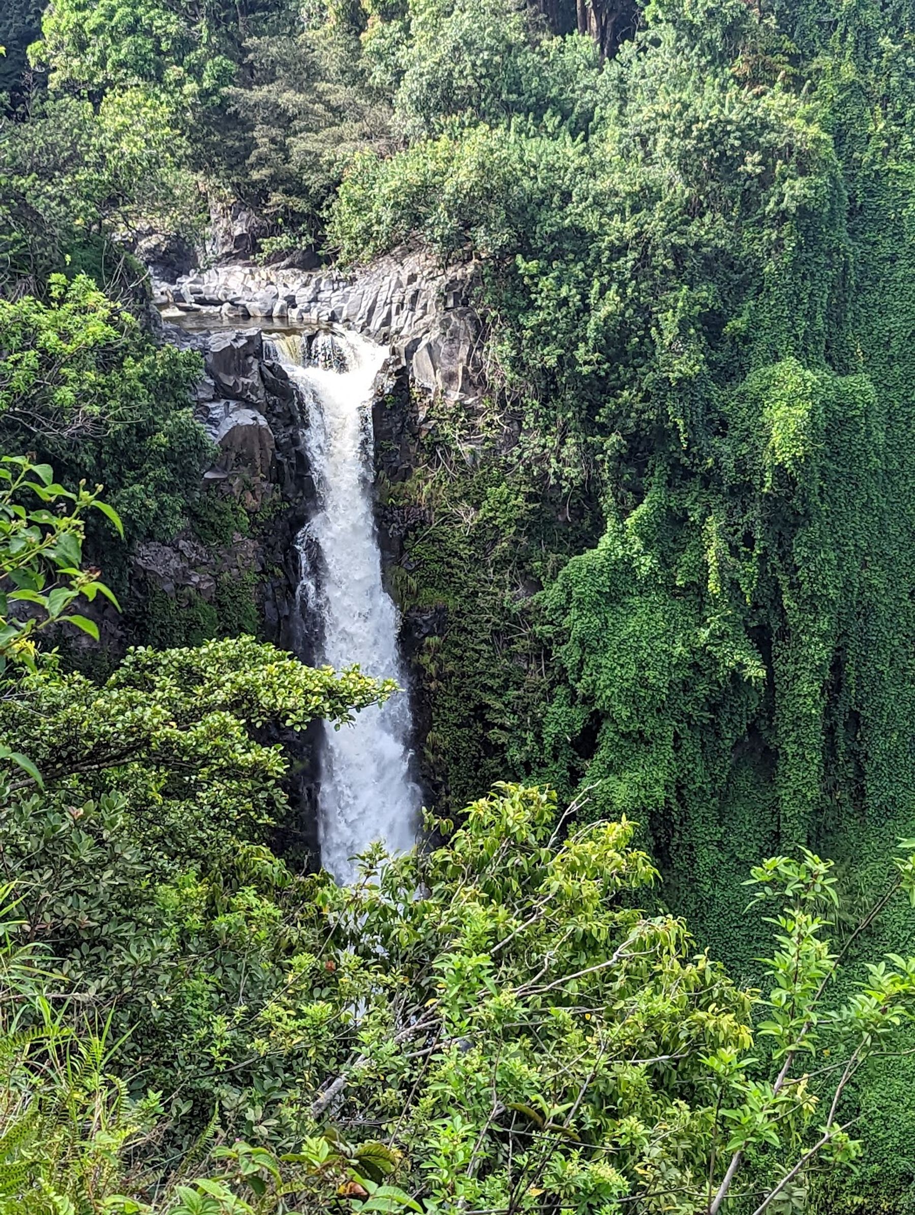 Photo 6 of ʻOheʻo Gulch in Kīpahulu & Kaupō, Maui