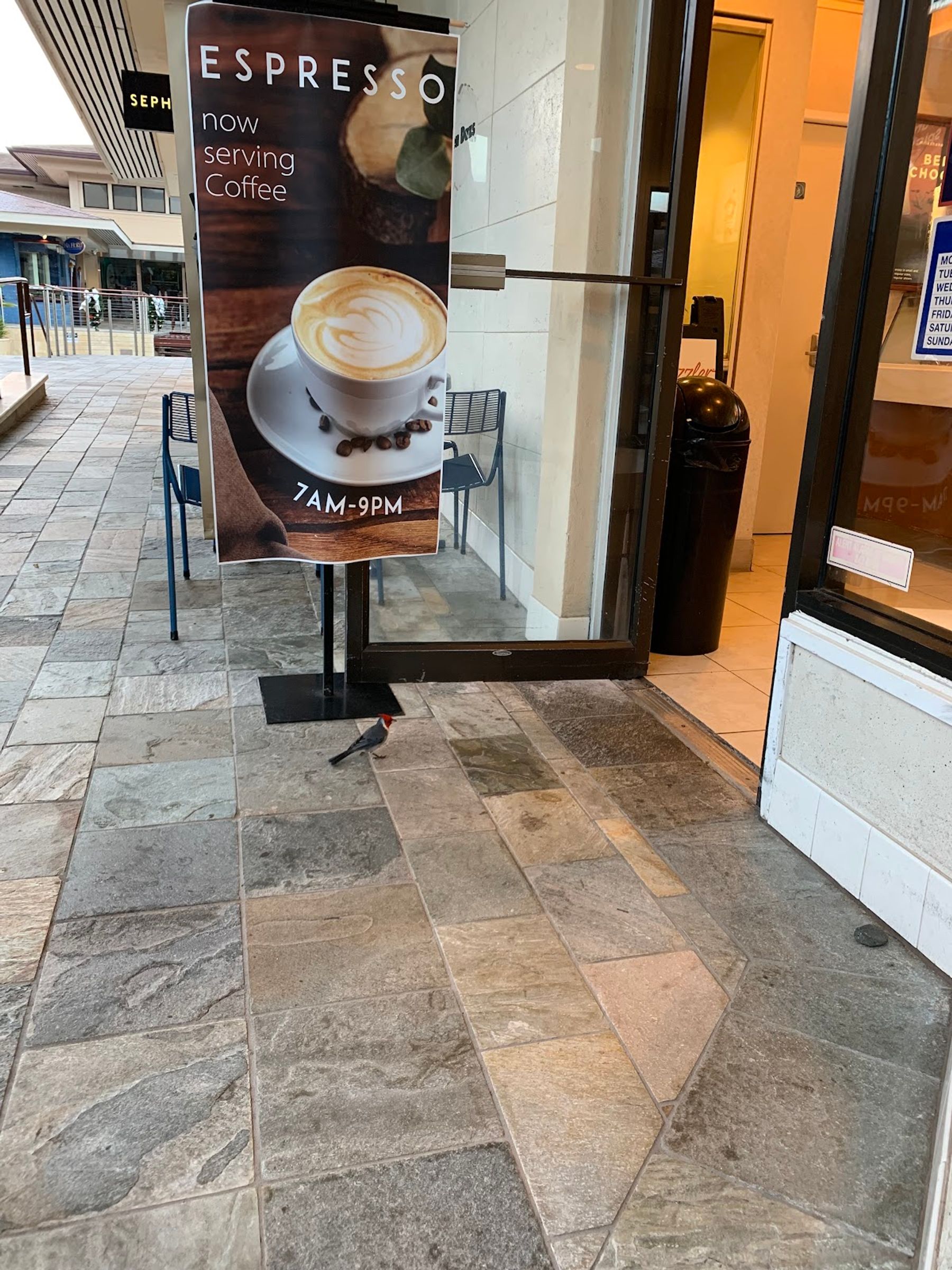Photo 1 of Häagen-Dazs in Kāʻanapali, Maui