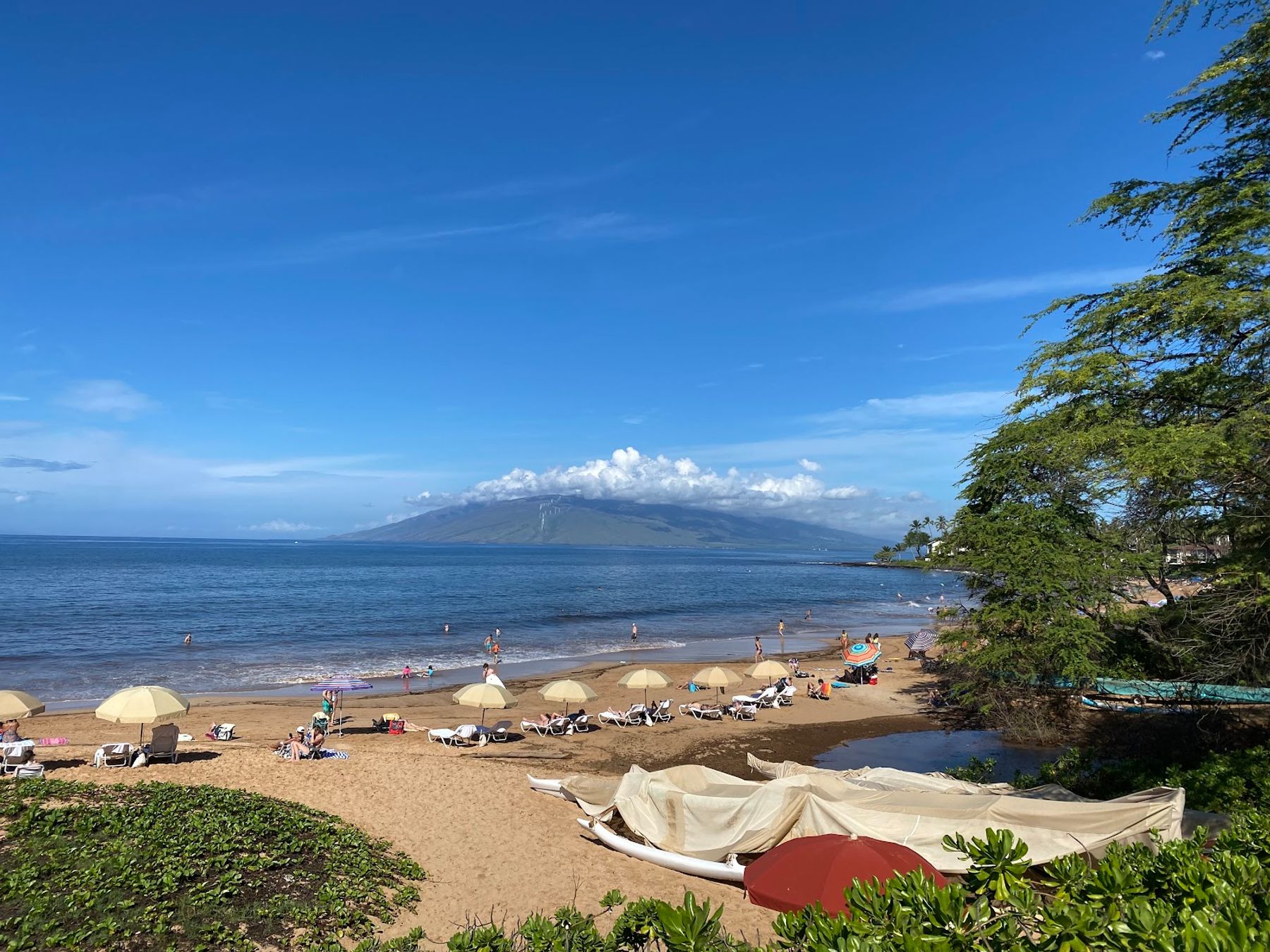 Photo 5 of Wailea Beach Park in Wailea, Maui
