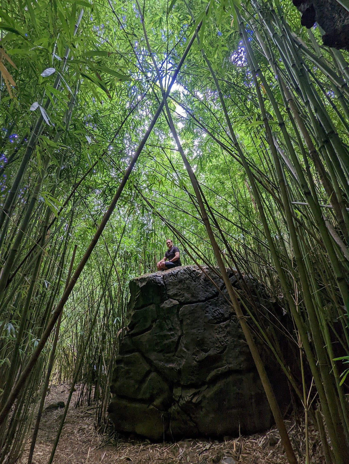 Photo 8 of Makaleha Trailhead in Wailua, Kauai