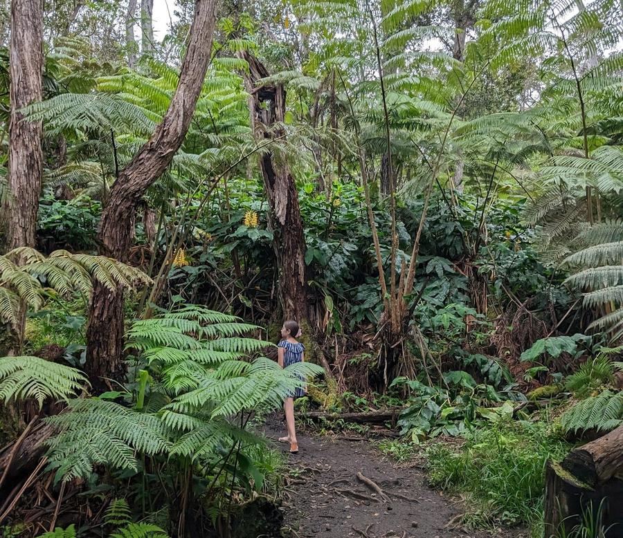 Photo 1 of Makaula 'O'oma Trail in Hōlualoa, Big Island