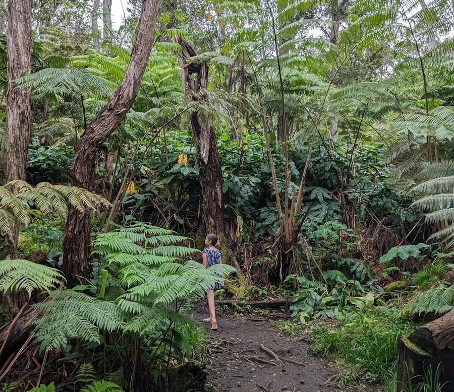 Photo 1 of Makaula 'O'oma Trail in Hōlualoa, Big Island