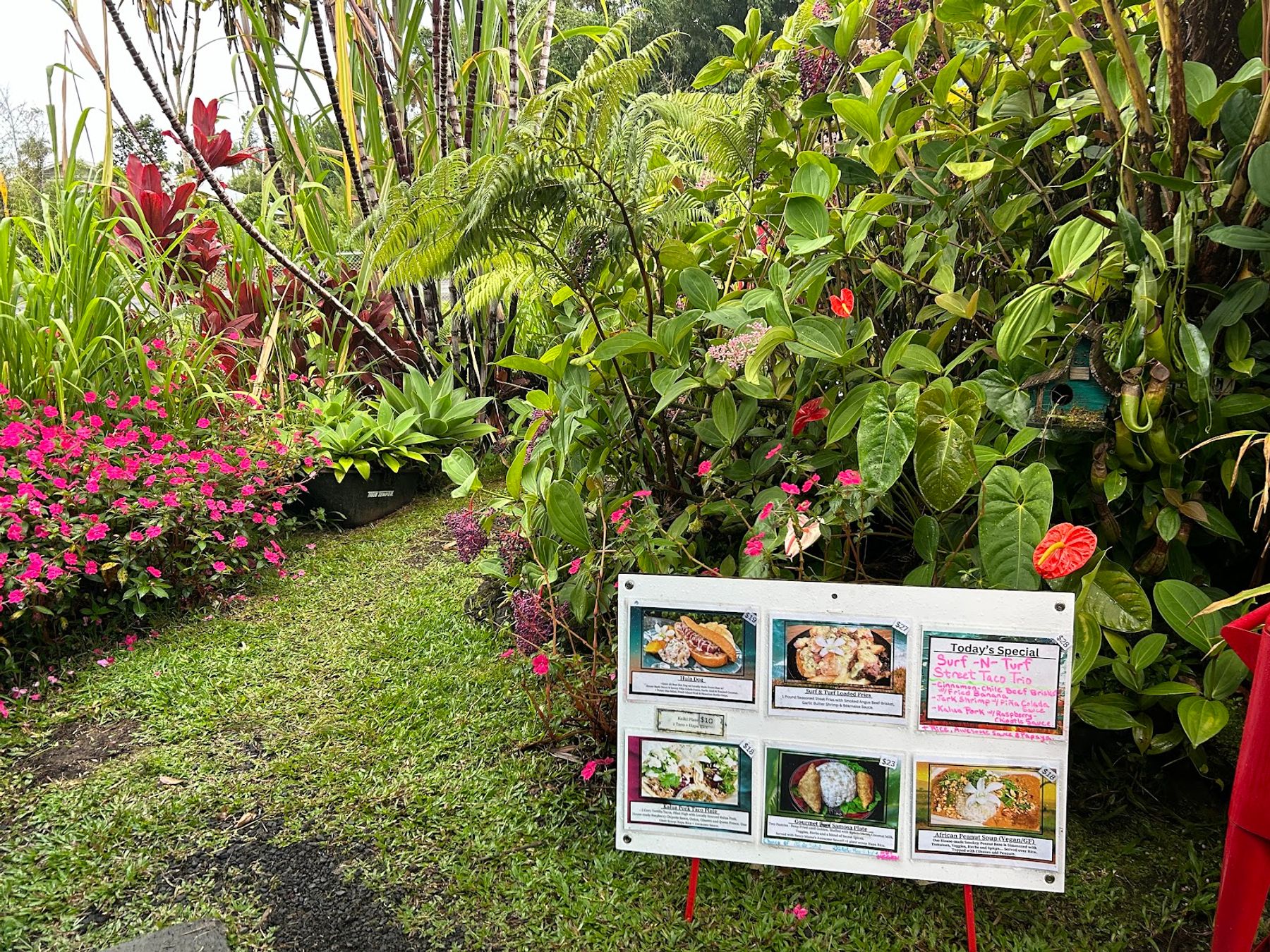 Photo 8 of Saucy Mama's LLC in Mountain View, Big Island
