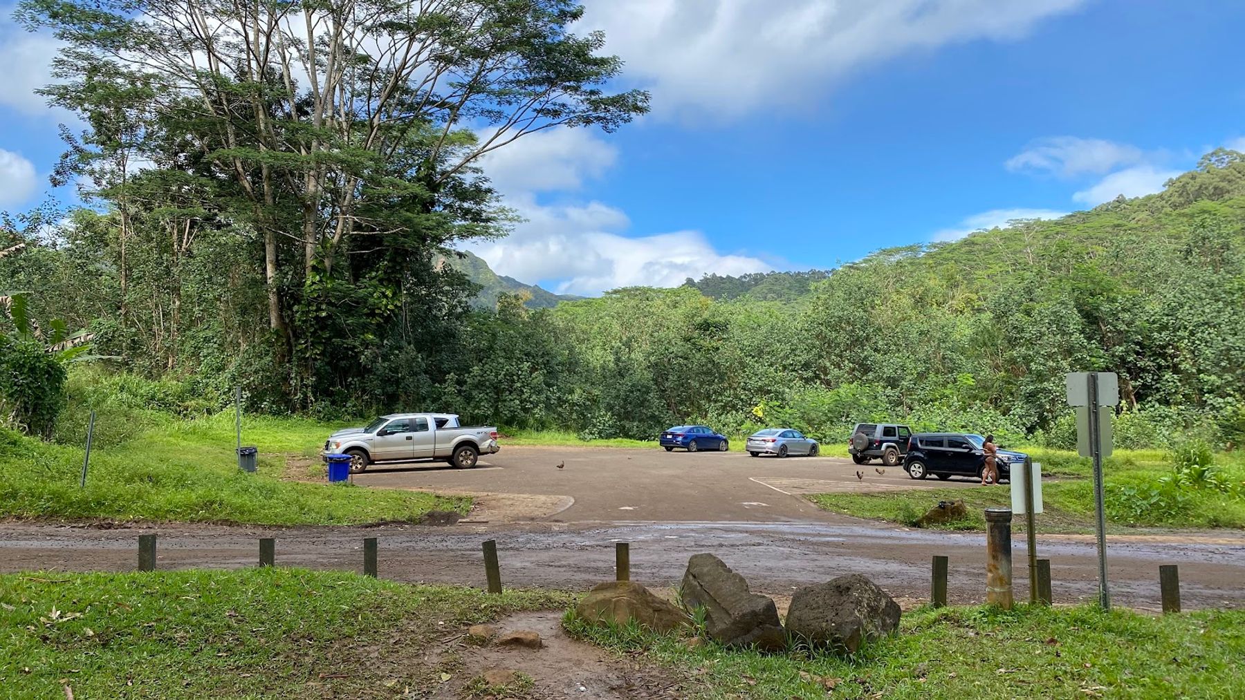Keahua Arboretum in Kapaʻa, Kaua‘i photo 5