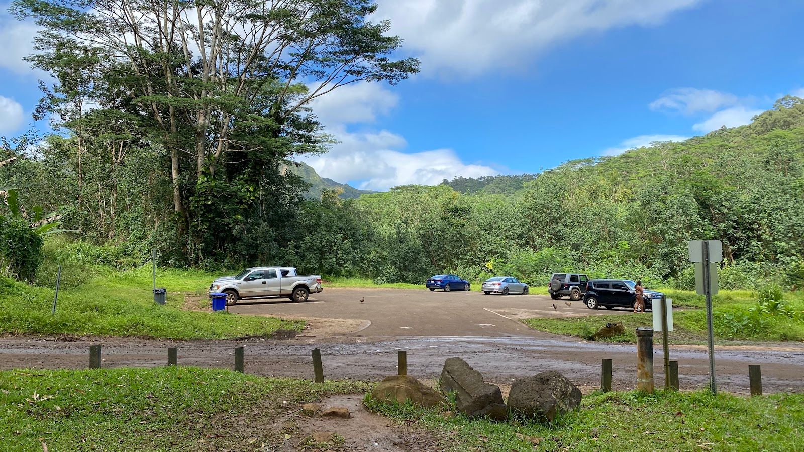 Keahua Arboretum in Kapaʻa, Kaua‘i photo 5
