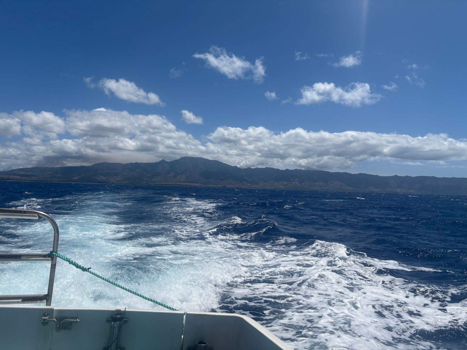 Photo 9 of Haleiwa Shark Tours in Haleʻiwa, Oahu