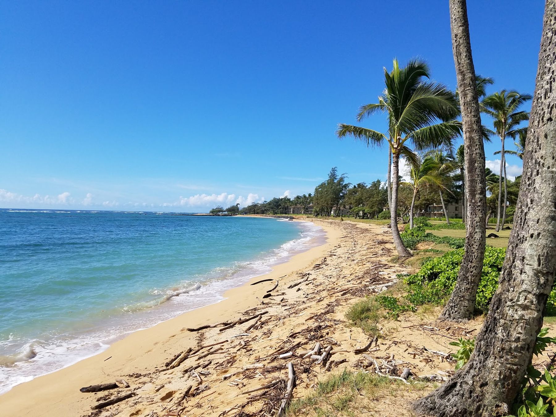 Kapa'a Beach Park in Kapaʻa, Kaua‘i