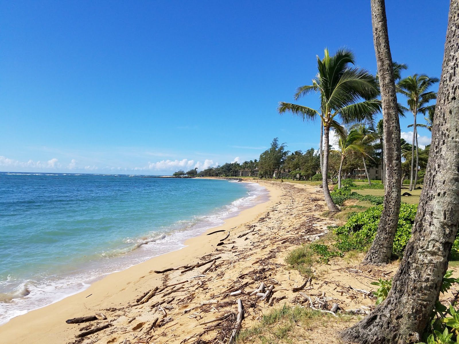 Kapa'a Beach Park in Kapaʻa, Kaua‘i