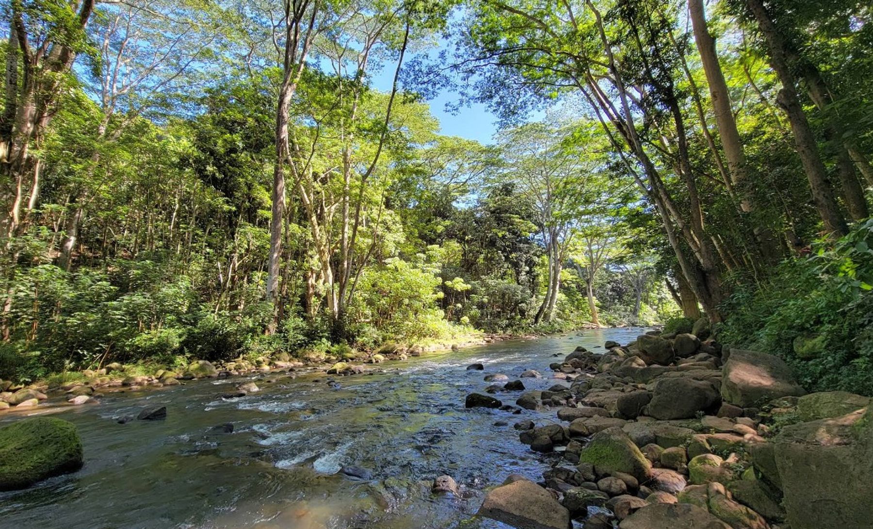 Uluwehi (Secret) Falls in Kapaʻa, Kaua‘i photo 9