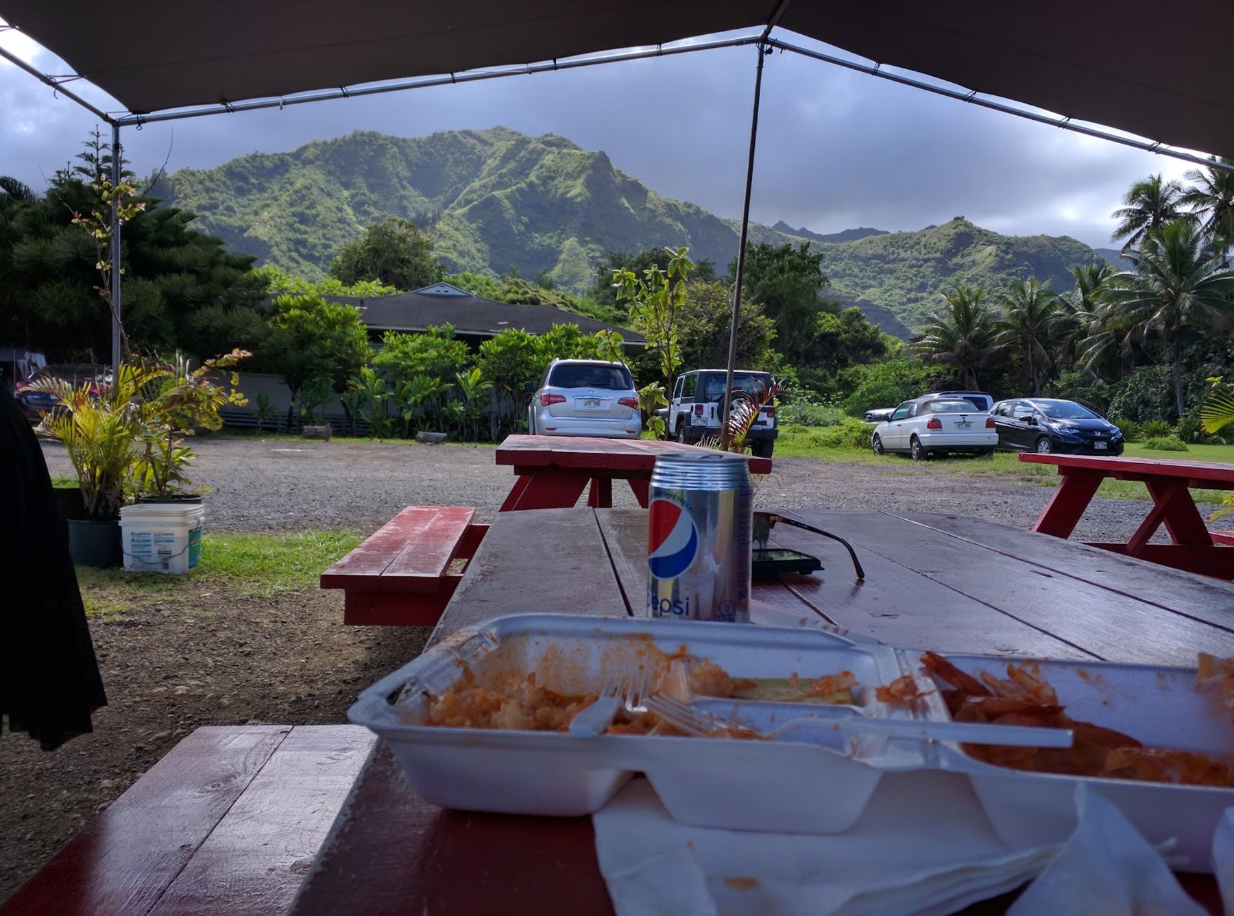 Photo 1 of Aloha Shrimp in Kualoa & North Windward, Oahu
