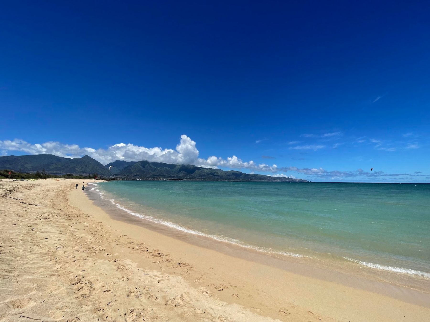 Photo 1 of Kanaha Beach Park in Kahului, Maui