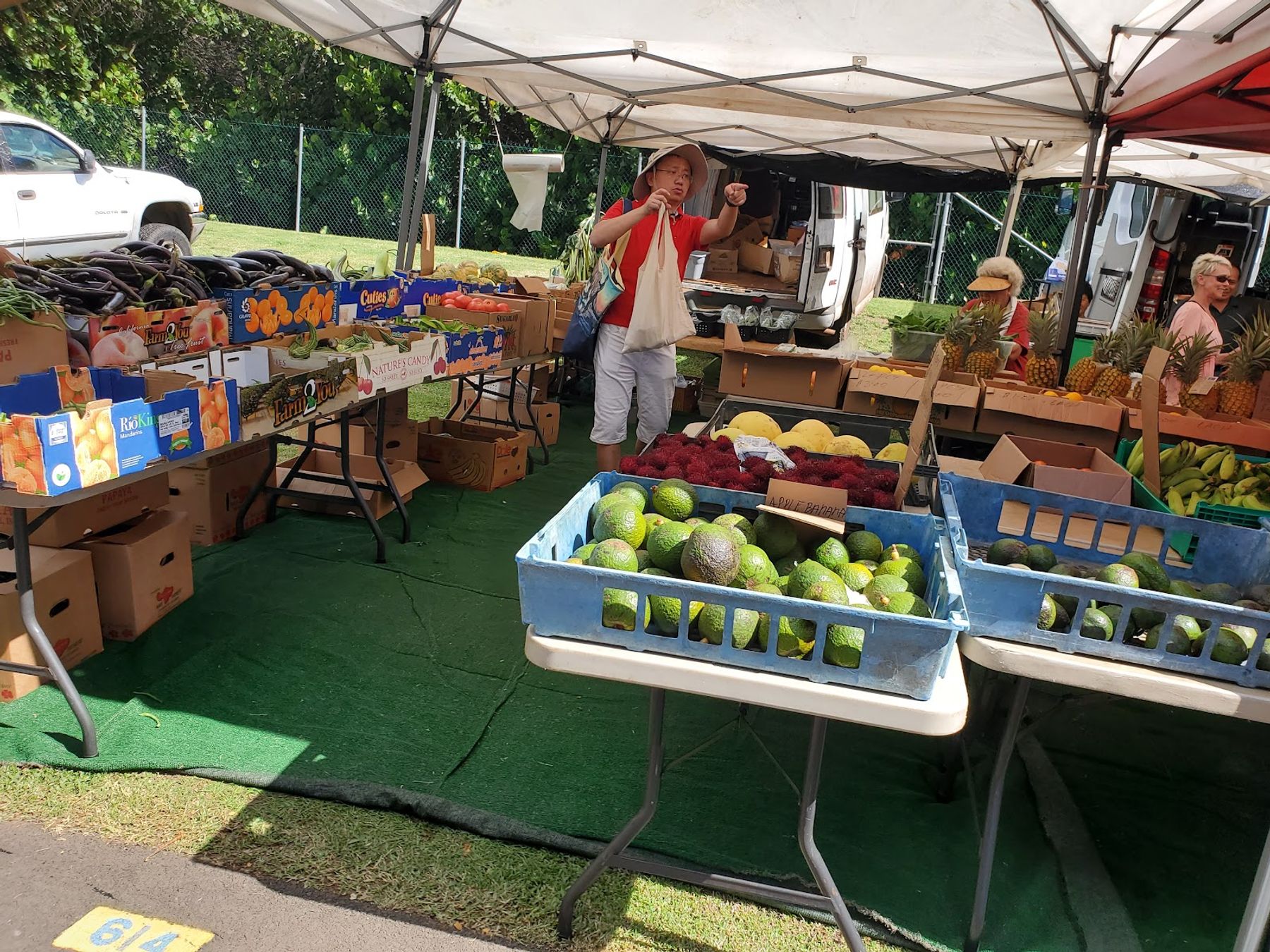Photo 6 of Maui Swap Meet in Kahului, Maui