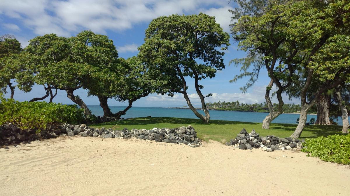 Sandy beach with low lava-rock walls, grassy shoreline, and leaning trees beside calm blue water under a partly cloudy sky.