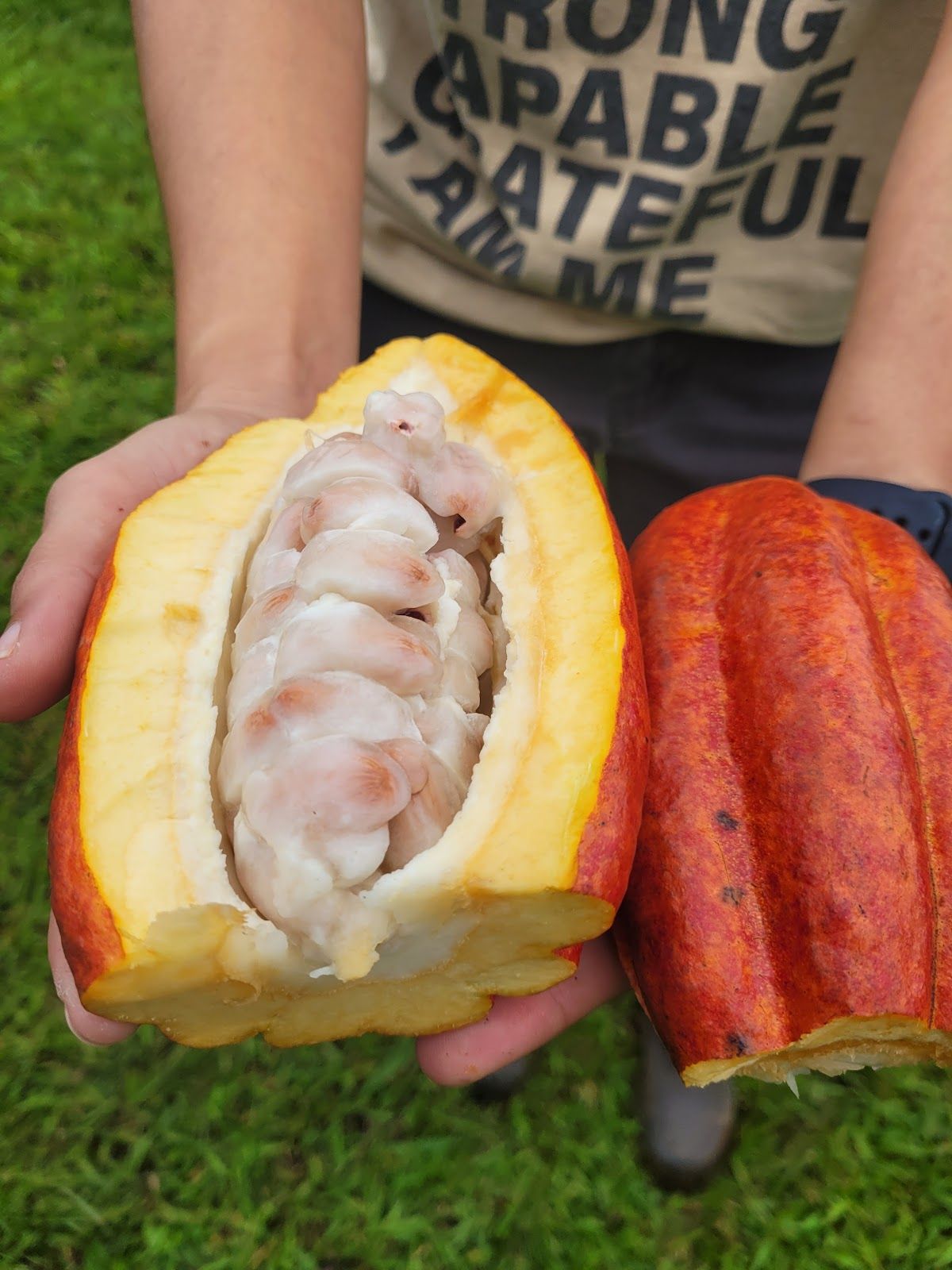 Photo 5 of Lavaloha Chocolate - Farm Tours in Hilo, Big Island