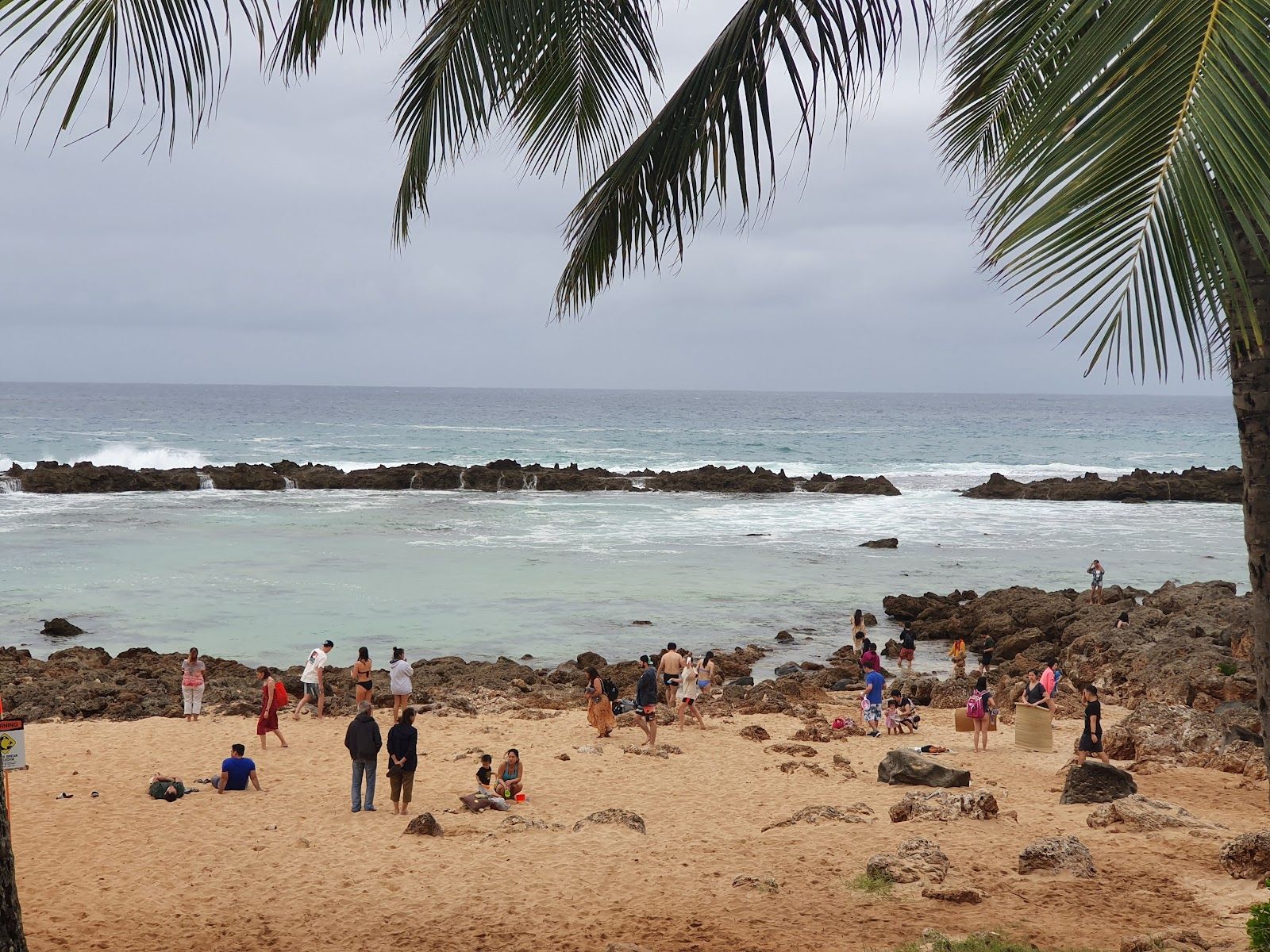 Photo 7 of The Coffee Bean & Tea Leaf Pupukea in Pūpūkea, Oahu
