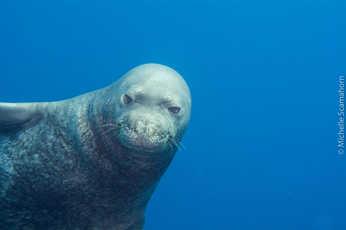 Explore Kauai Scuba in Kekaha, Kaua‘i photo 2