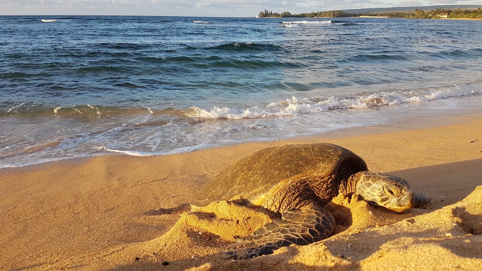 Photo 10 of Bill and Peggy Paty Kaiaka Bay Beach Park in Haleʻiwa, Oahu