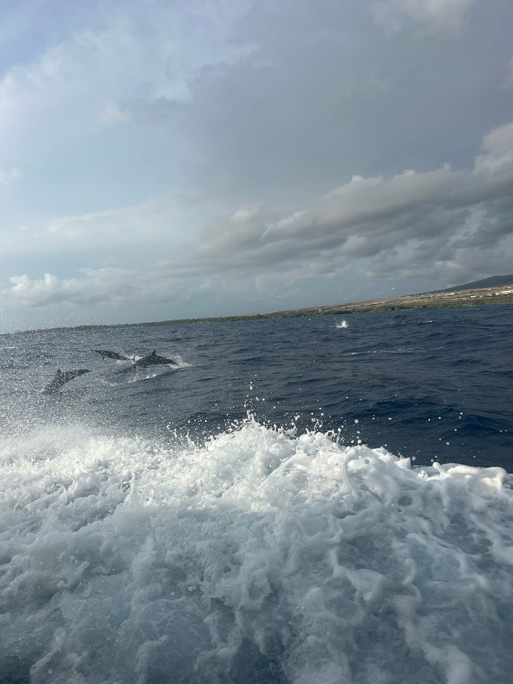 Photo 2 of Torpedo Tours in Kailua-Kona, Big Island