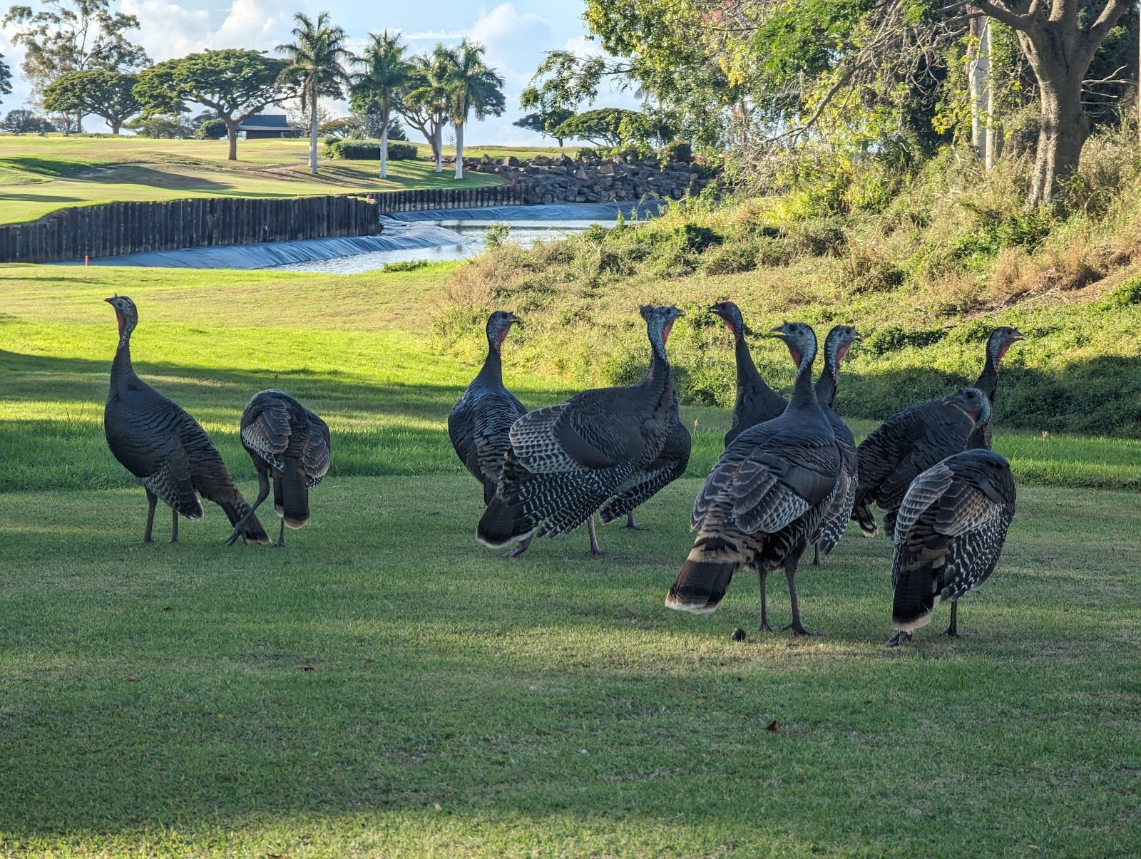 Photo 6 of Makani Golf Club in Kailua-Kona, Big Island