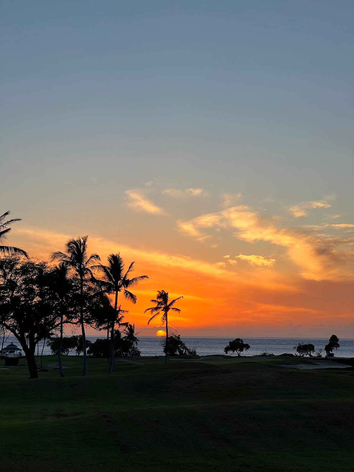 Photo 5 of Hawai‘iloa Lū‘au in Waikoloa, Big Island
