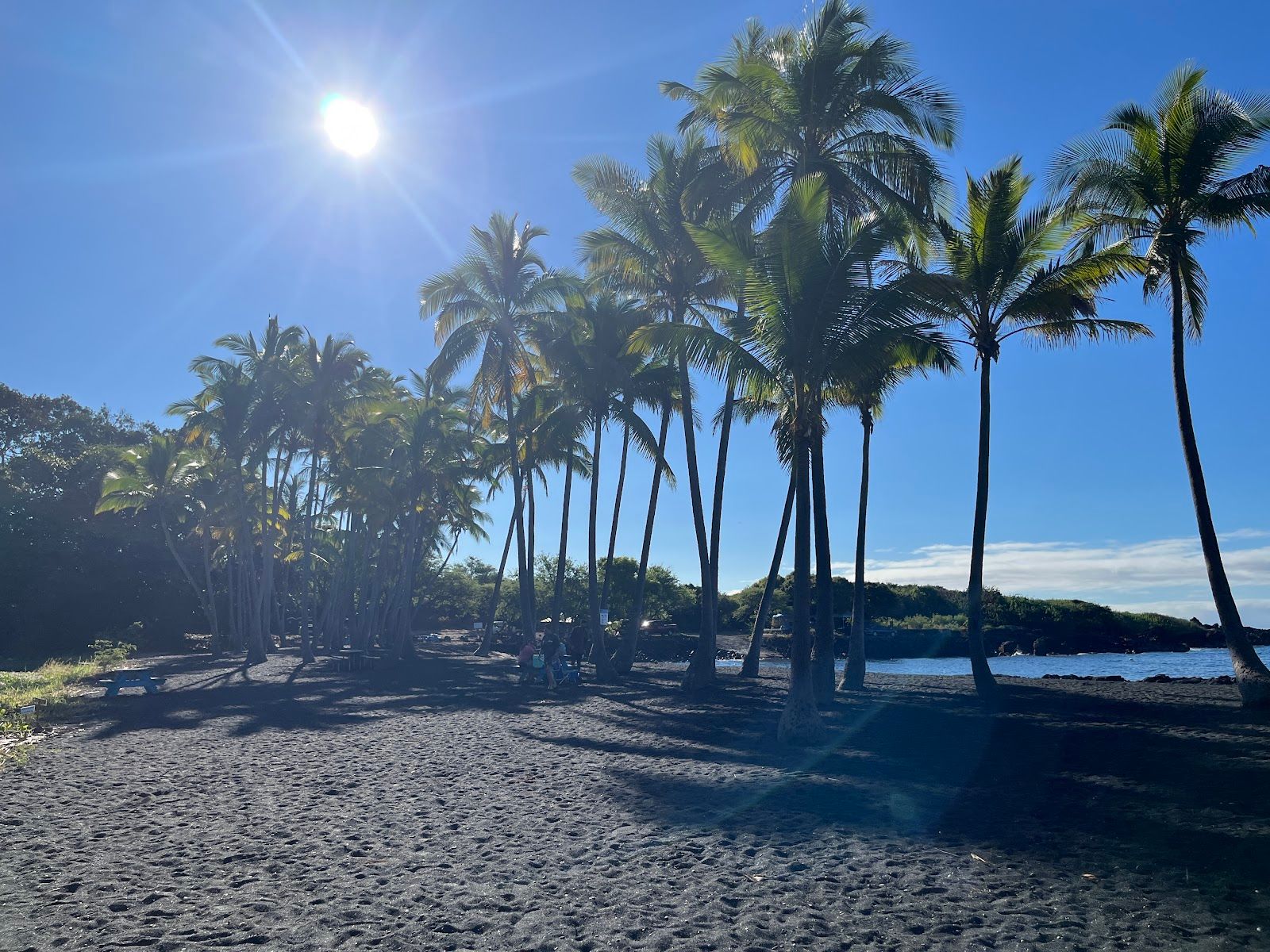 Photo 7 of Punaluʻu Beach in Pāhala, Big Island