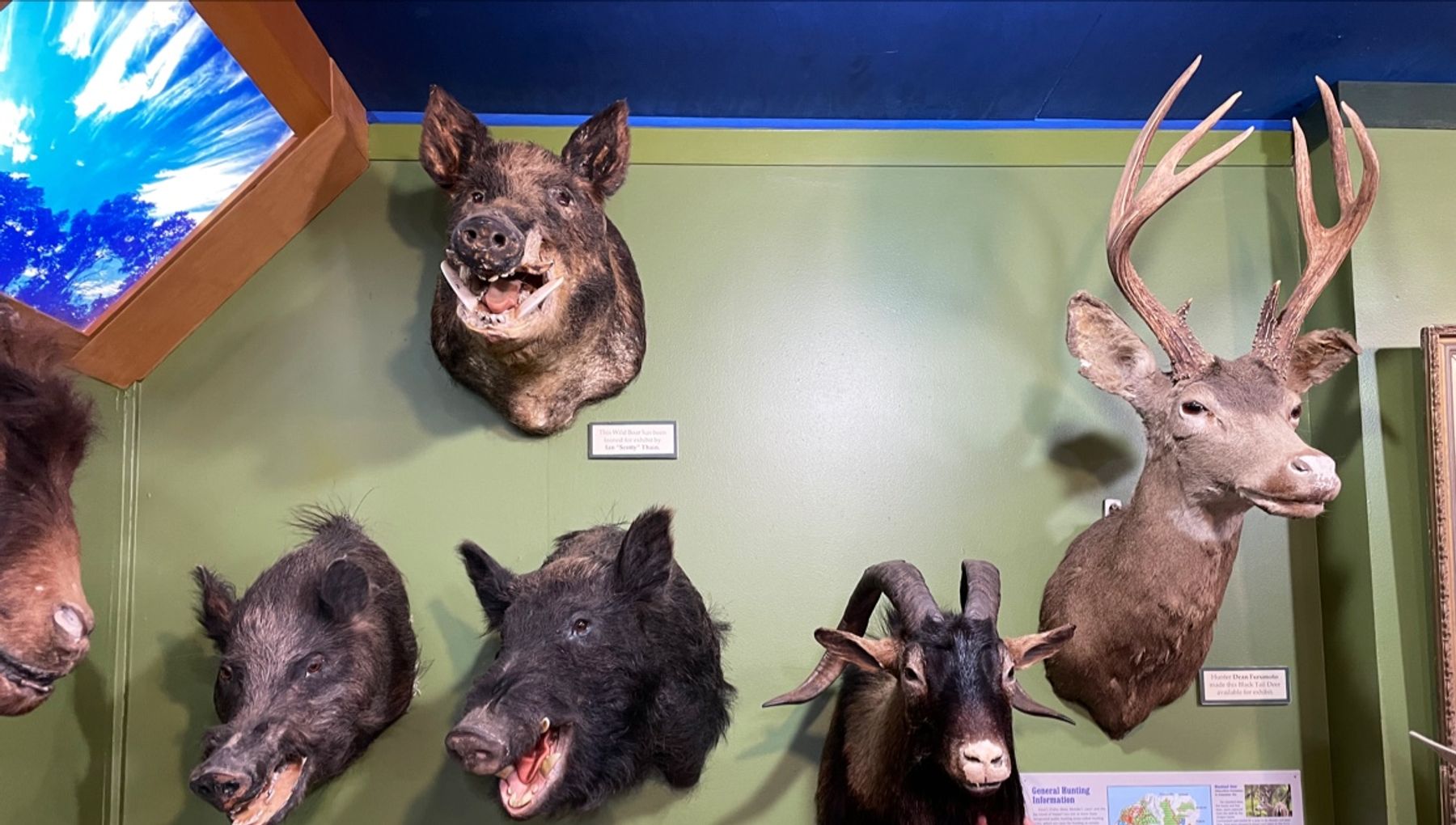 Koke'e Natural History Museum in Waimea, Kaua‘i photo 3