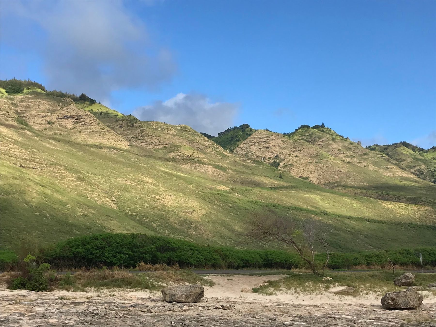 Photo 7 of Kaʻena Point State Park in Waialua & Mokulēʻia, Oahu