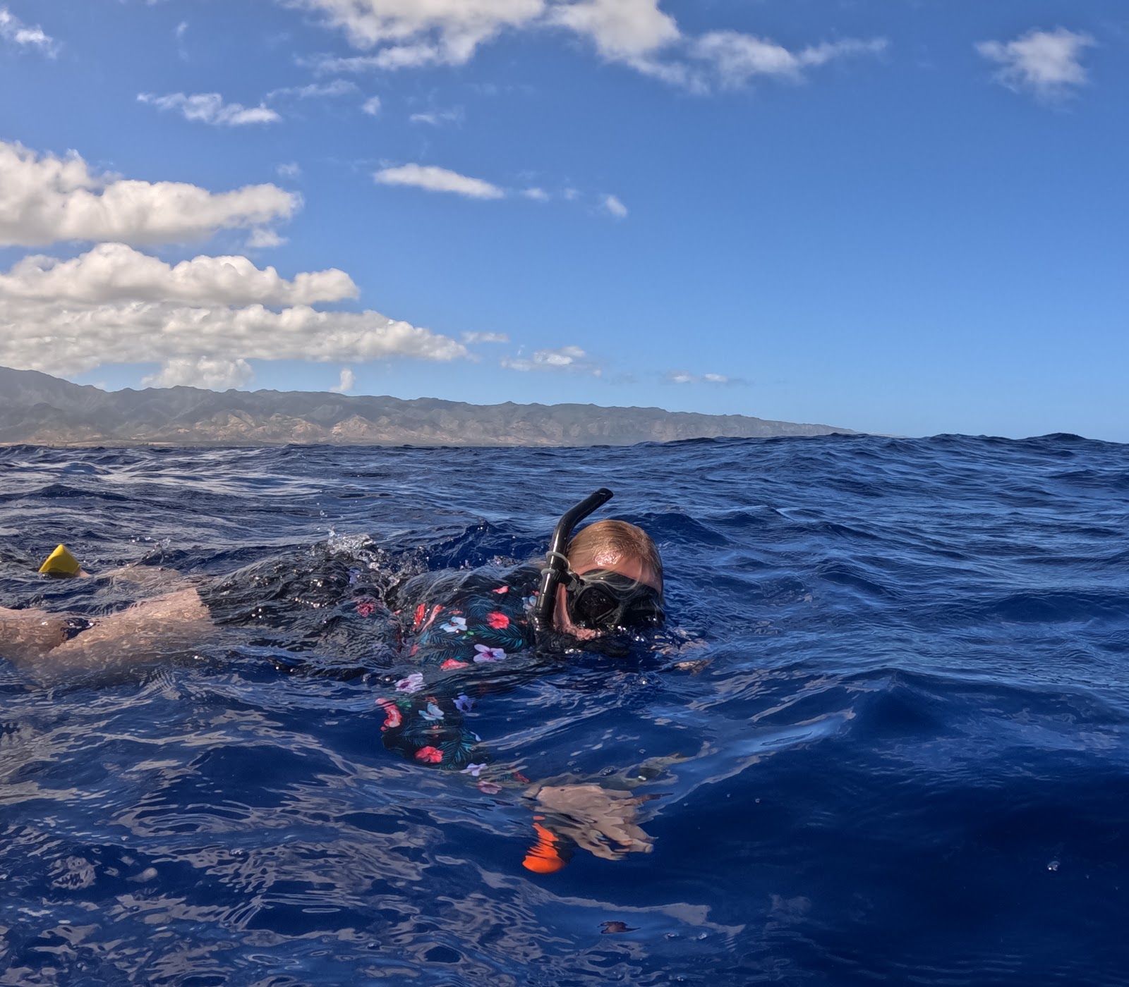Photo 6 of Deep Blue Eco Tours in Haleʻiwa, Oahu