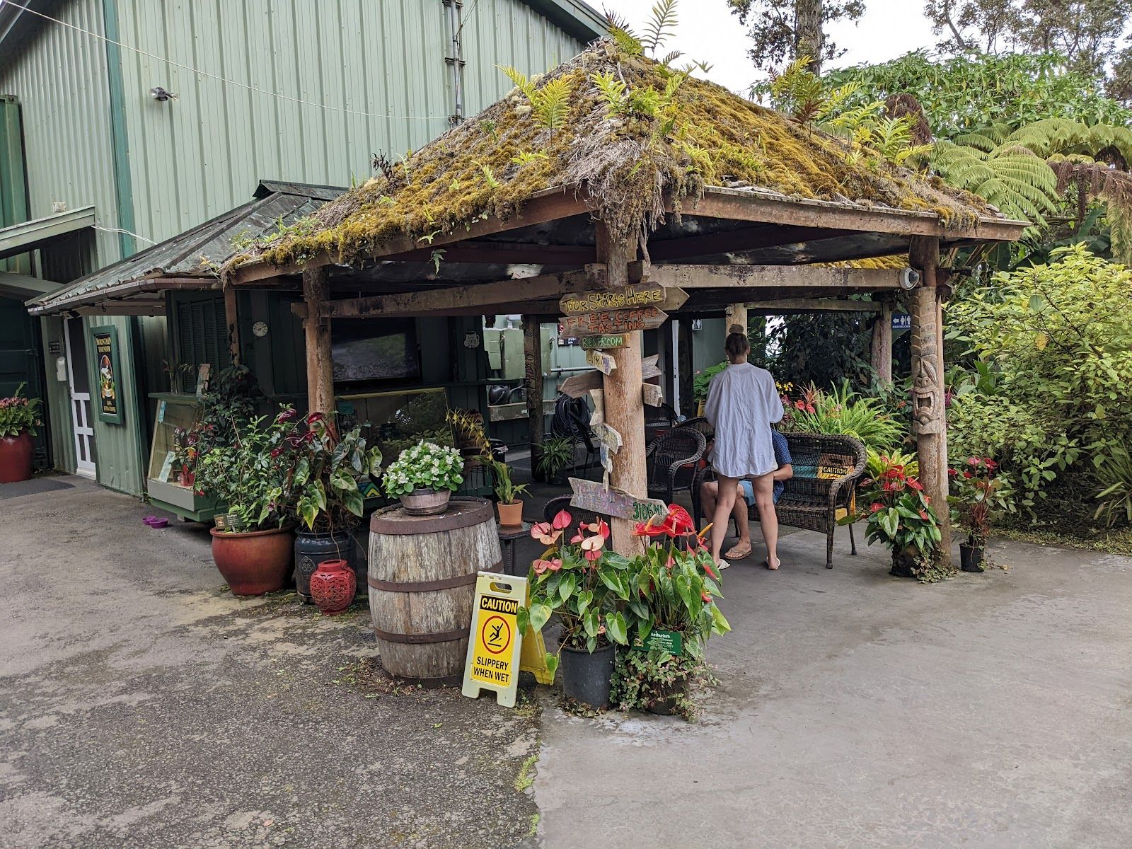 Photo 5 of Mountain Thunder Coffee Plantation in Hōlualoa, Big Island