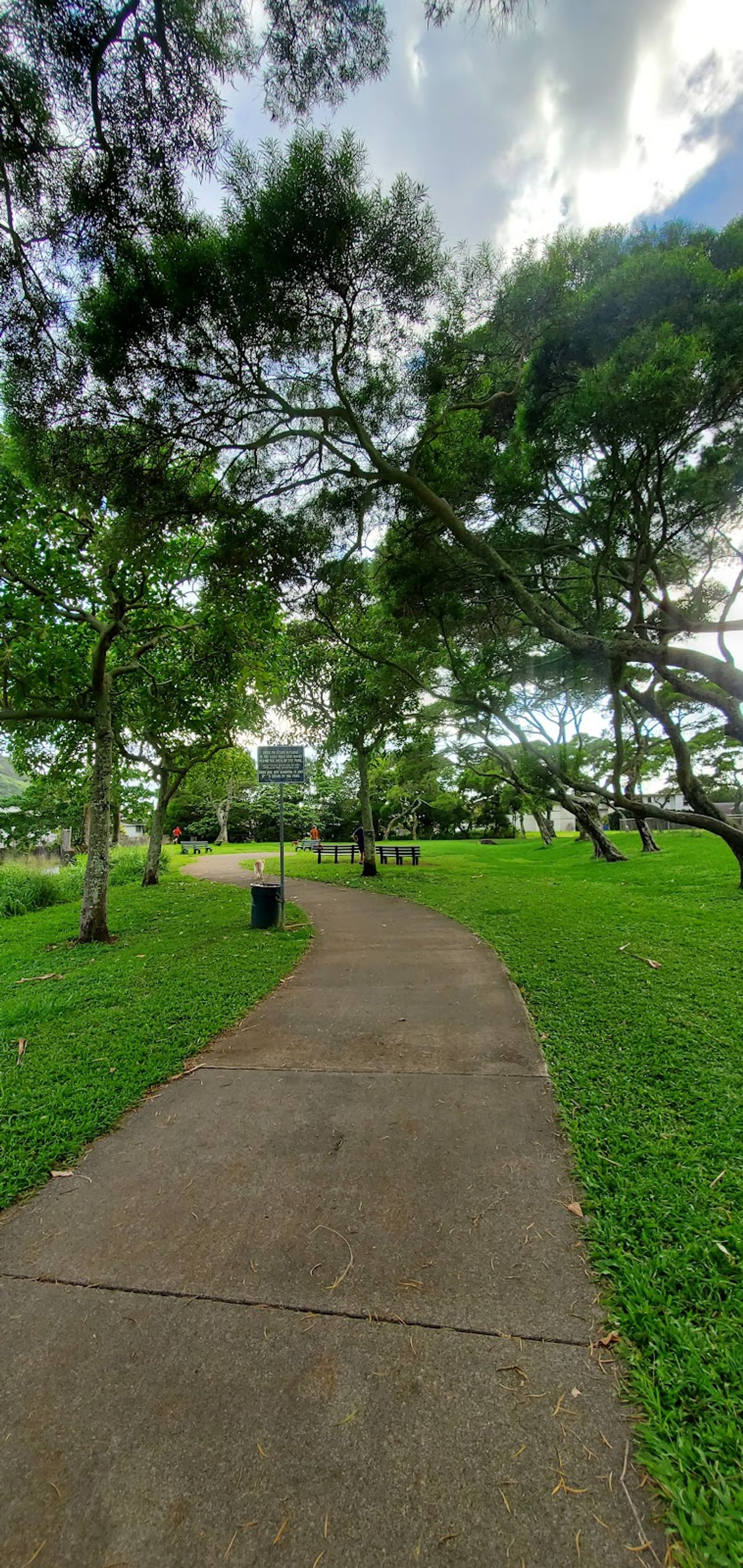 Photo 9 of Manoa Valley District Park in Mānoa, Makiki & Nuʻuanu, Oahu
