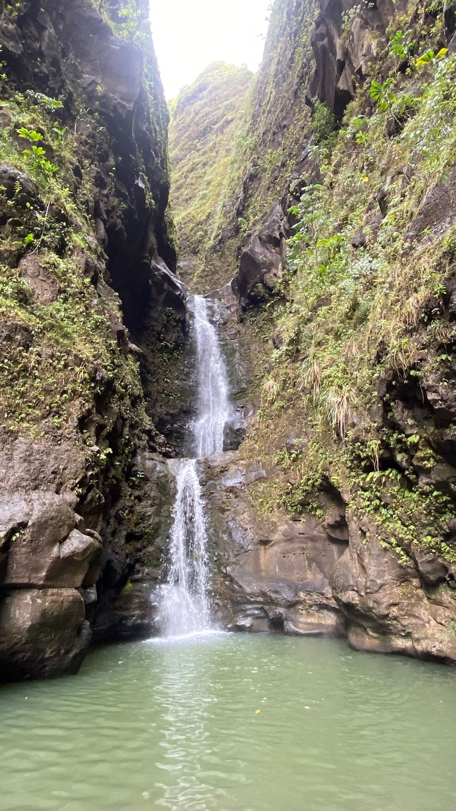 Photo 4 of Makaleha Trailhead in Wailua, Kauai