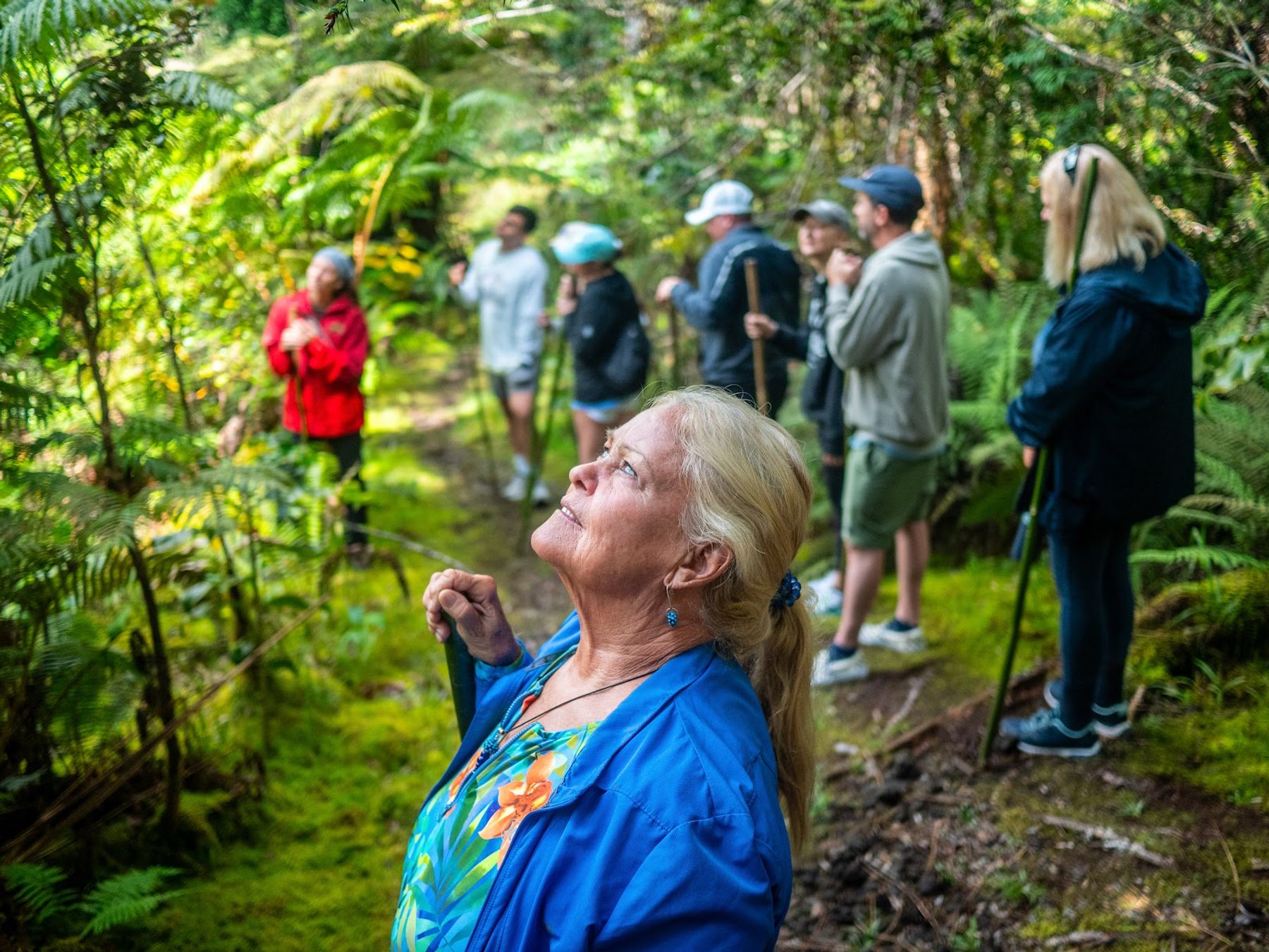 Photo 9 of C Big Island Tours in Hilo, Big Island