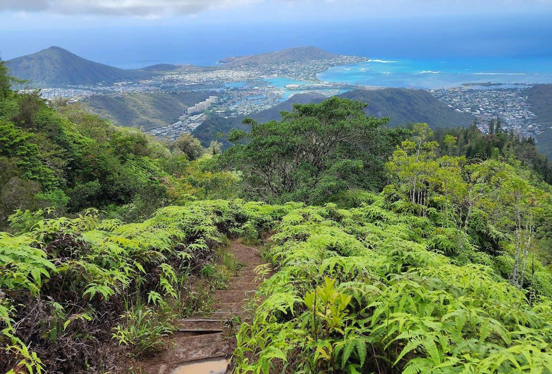 view from the Kuli‘ou‘ou Ridge Trail