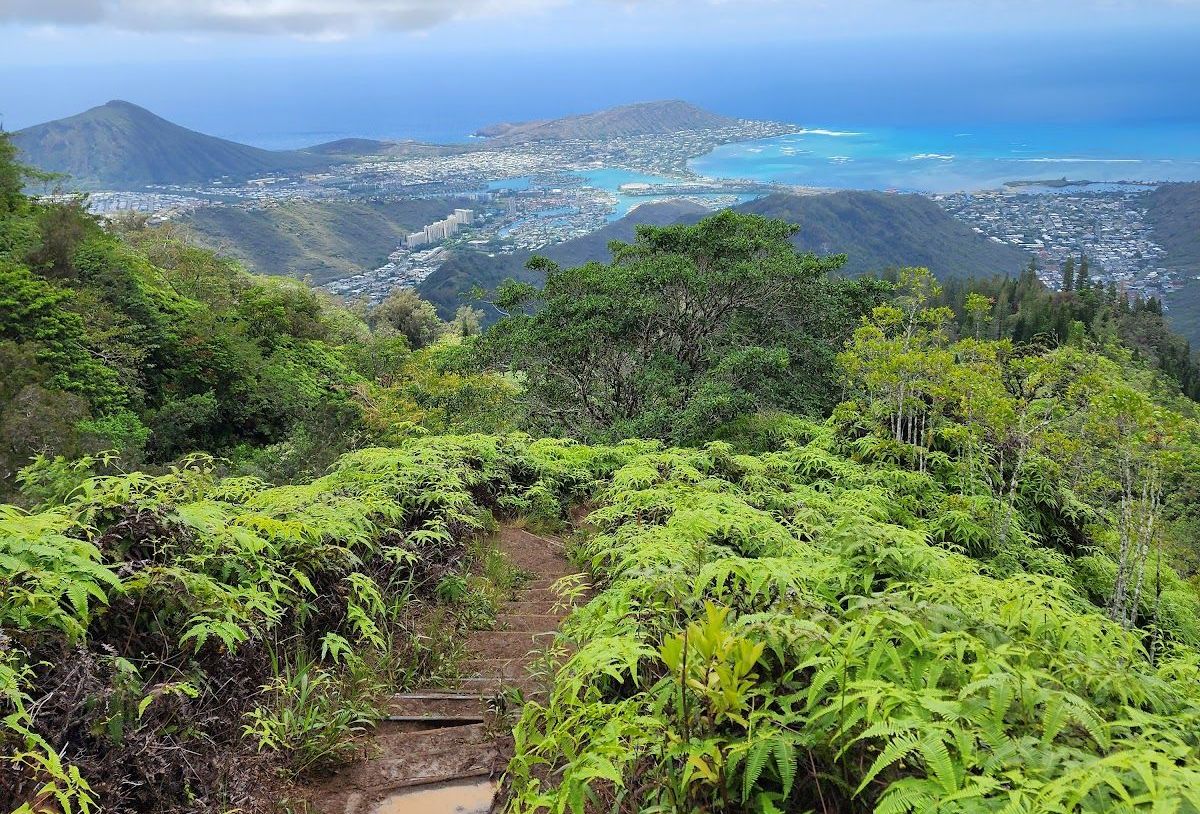 view from the Kuli‘ou‘ou Ridge Trail