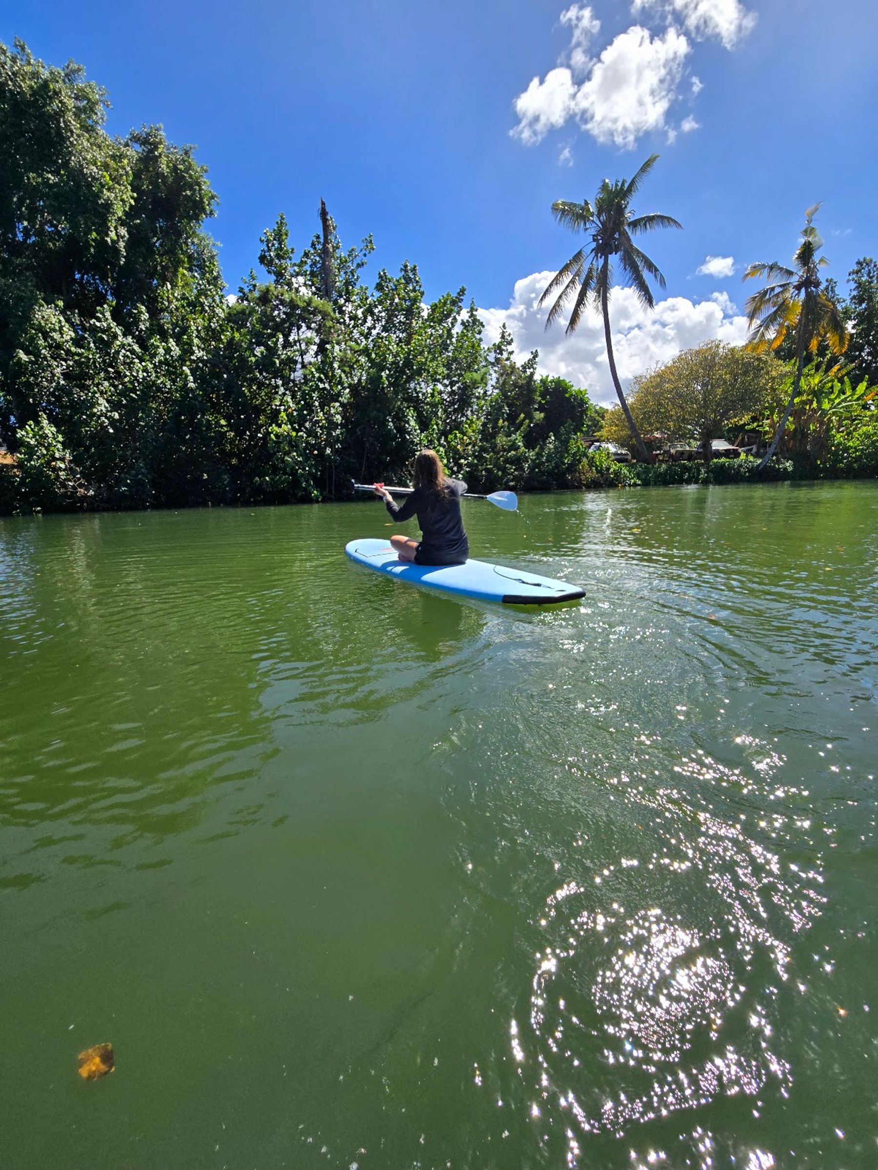 Photo 3 of The Original North Shore Activities Tour in Waikīkī, Oahu
