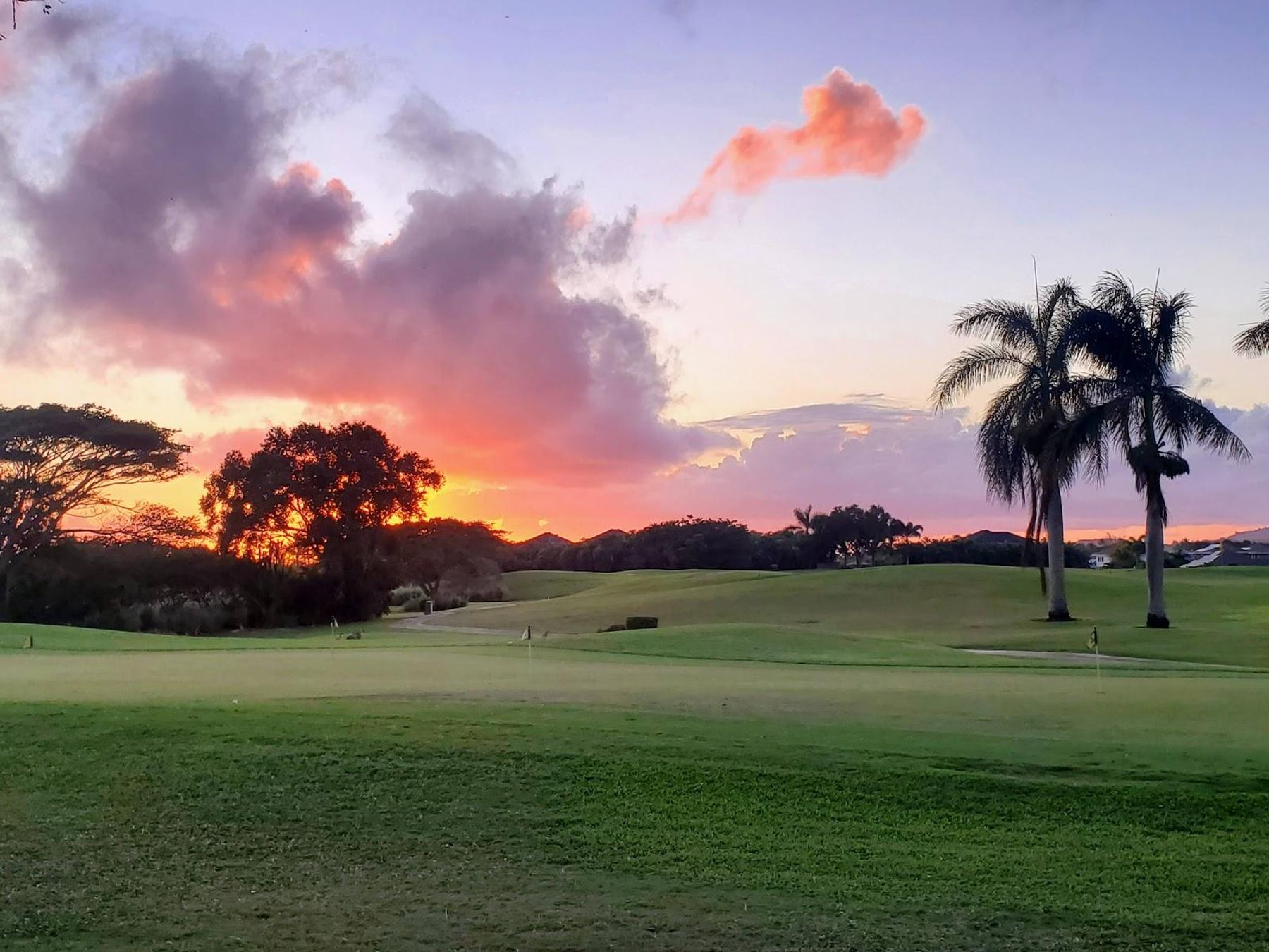 Paco’s Tacos Kiahuna restaurant in Poʻipū, Kaua‘i photo 4