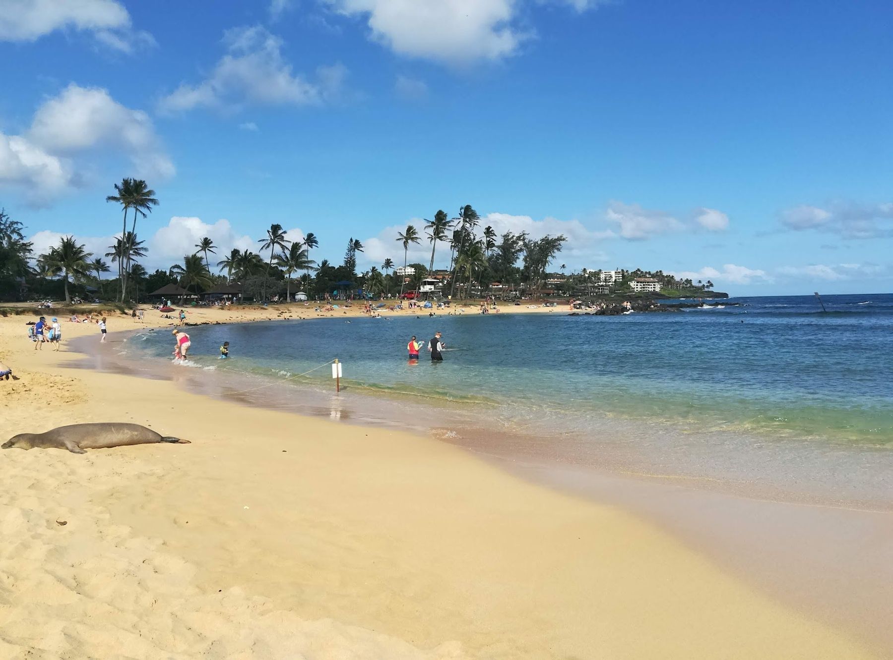 Kapa'a Beach Park in Kapaʻa, Kaua‘i photo 2