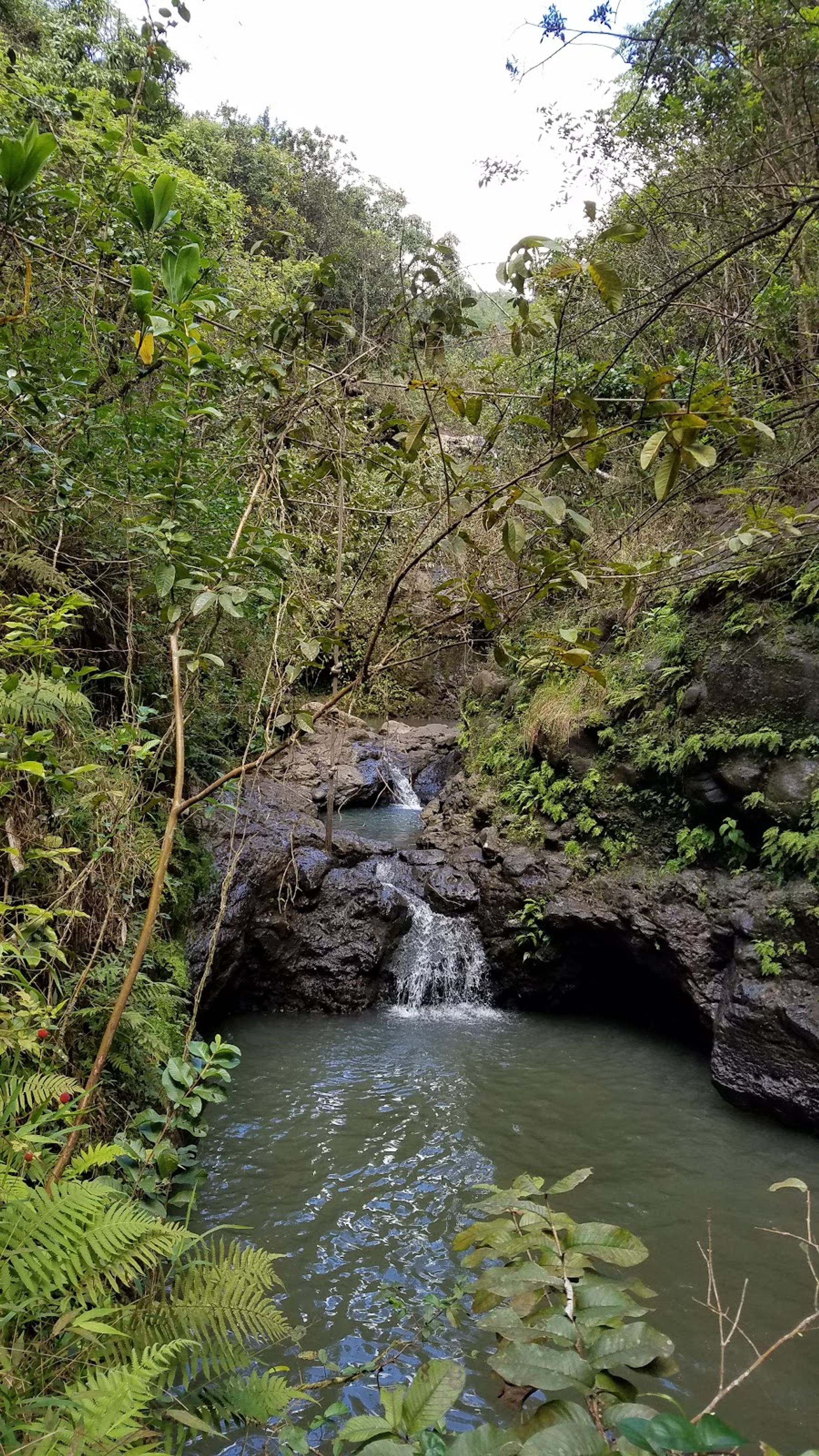 Photo 6 of Waimano Falls in Pearl City, Oahu