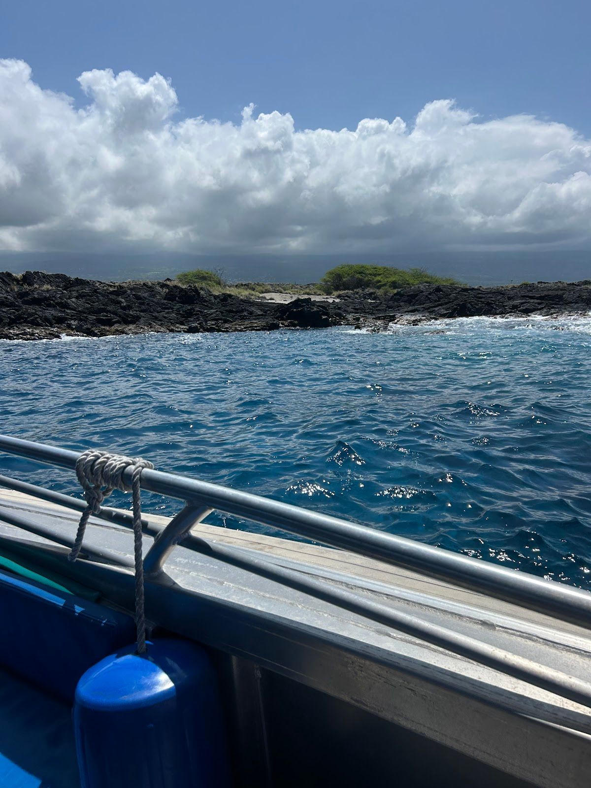 Photo 8 of Iruka Hawai‘i Dolphin and Manta Tours in Kailua-Kona, Big Island