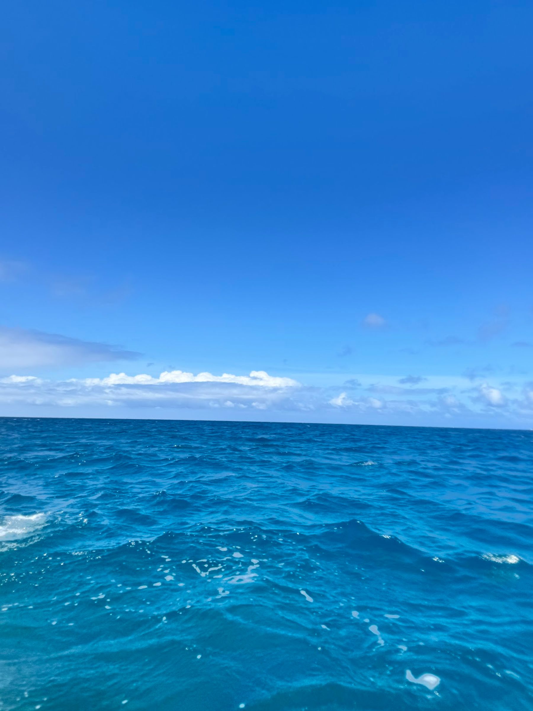 Photo 3 of Ocean Safaris Kayak Adventures in Kailua-Kona, Big Island