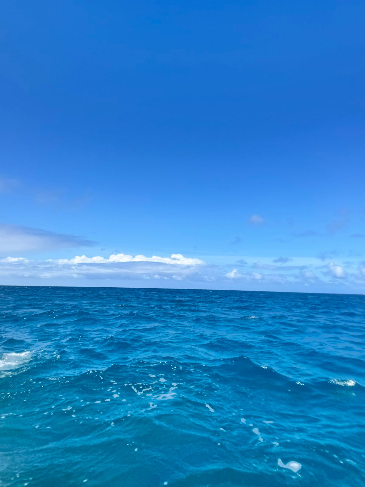 Photo 3 of Ocean Safaris Kayak Adventures in Kailua-Kona, Big Island