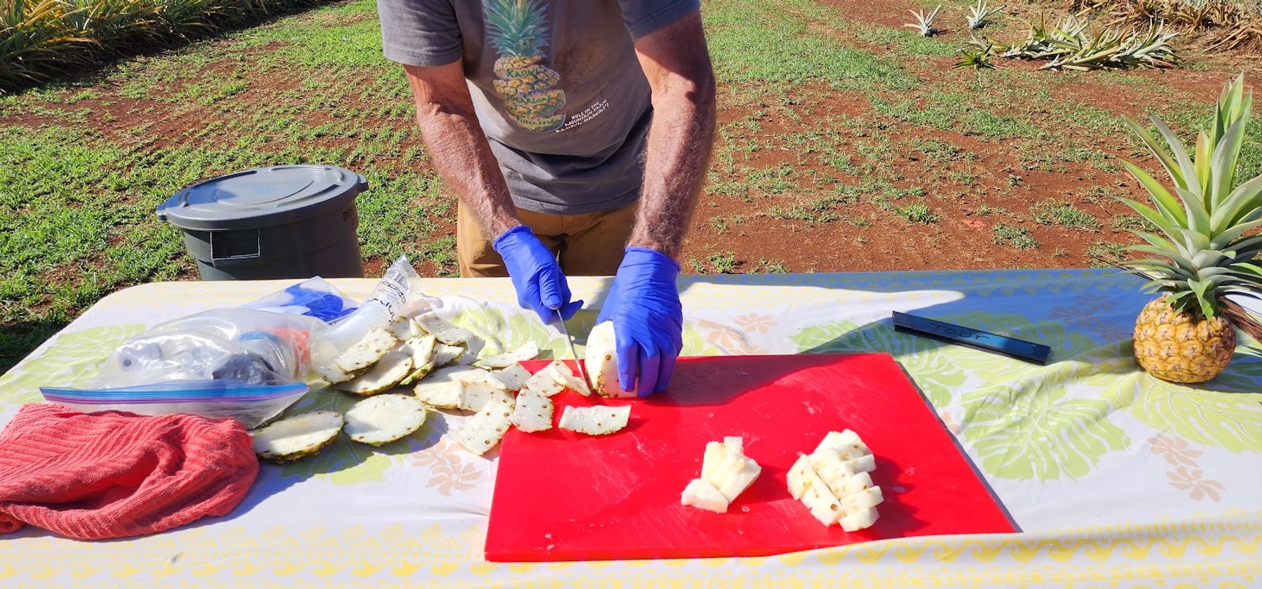 Hole in the Mountain Farm in Anahola, Kaua‘i photo 5
