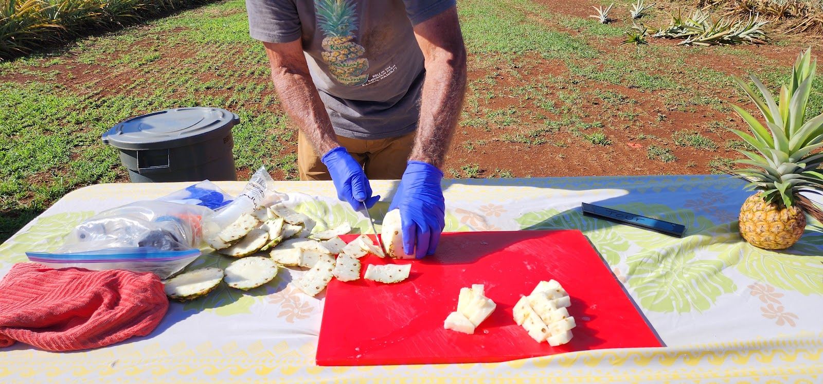 Hole in the Mountain Farm in Anahola, Kaua‘i photo 5