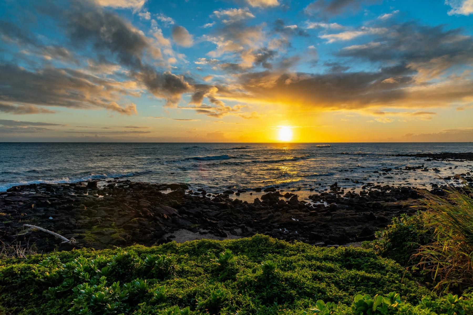 Golden sun setting over the Pacific from a rocky shoreline, with green coastal plants in the foreground and dramatic clouds above.
