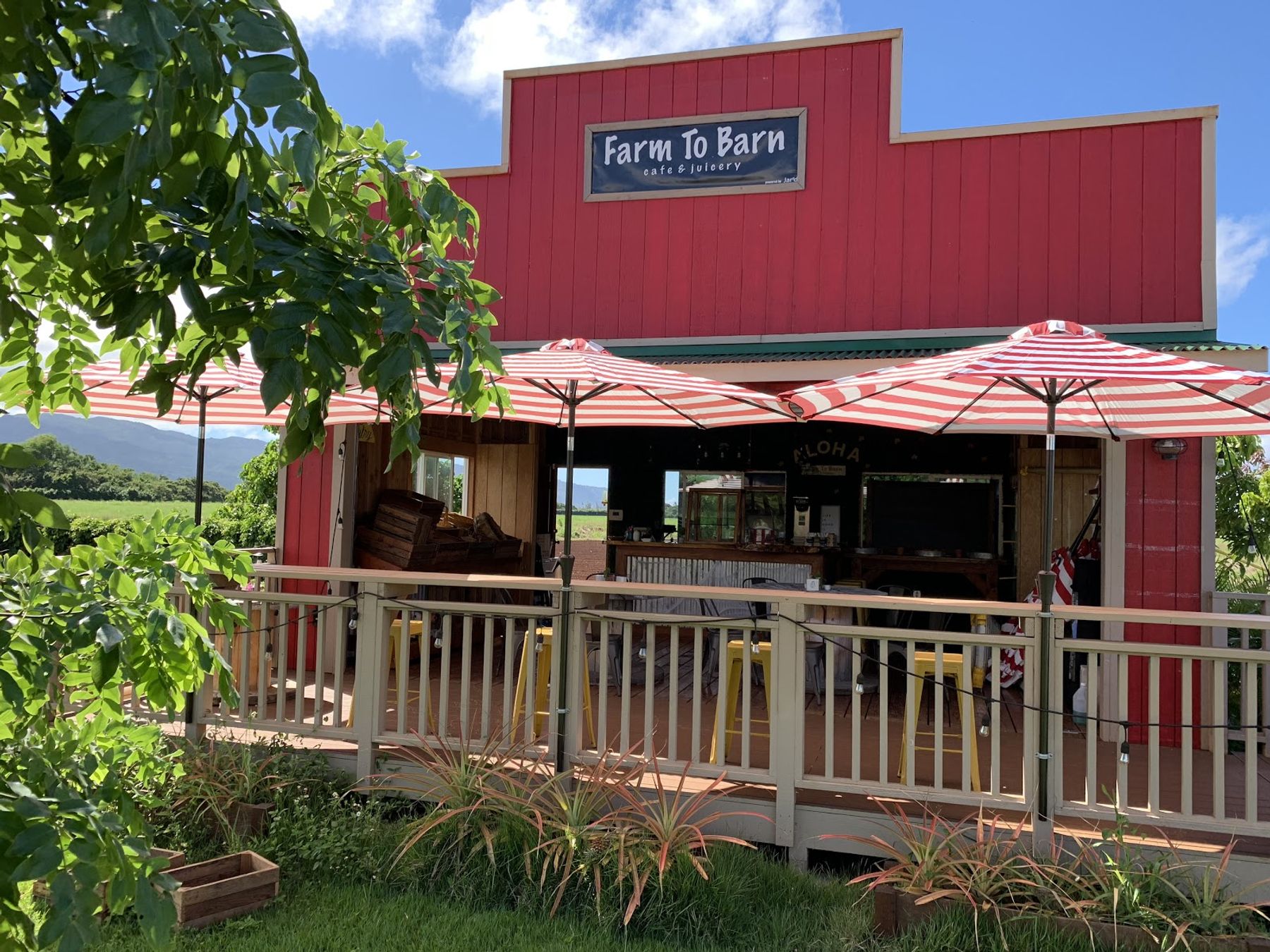 Photo 1 of Farm To Barn Cafe & Juicery in Haleʻiwa, Oahu