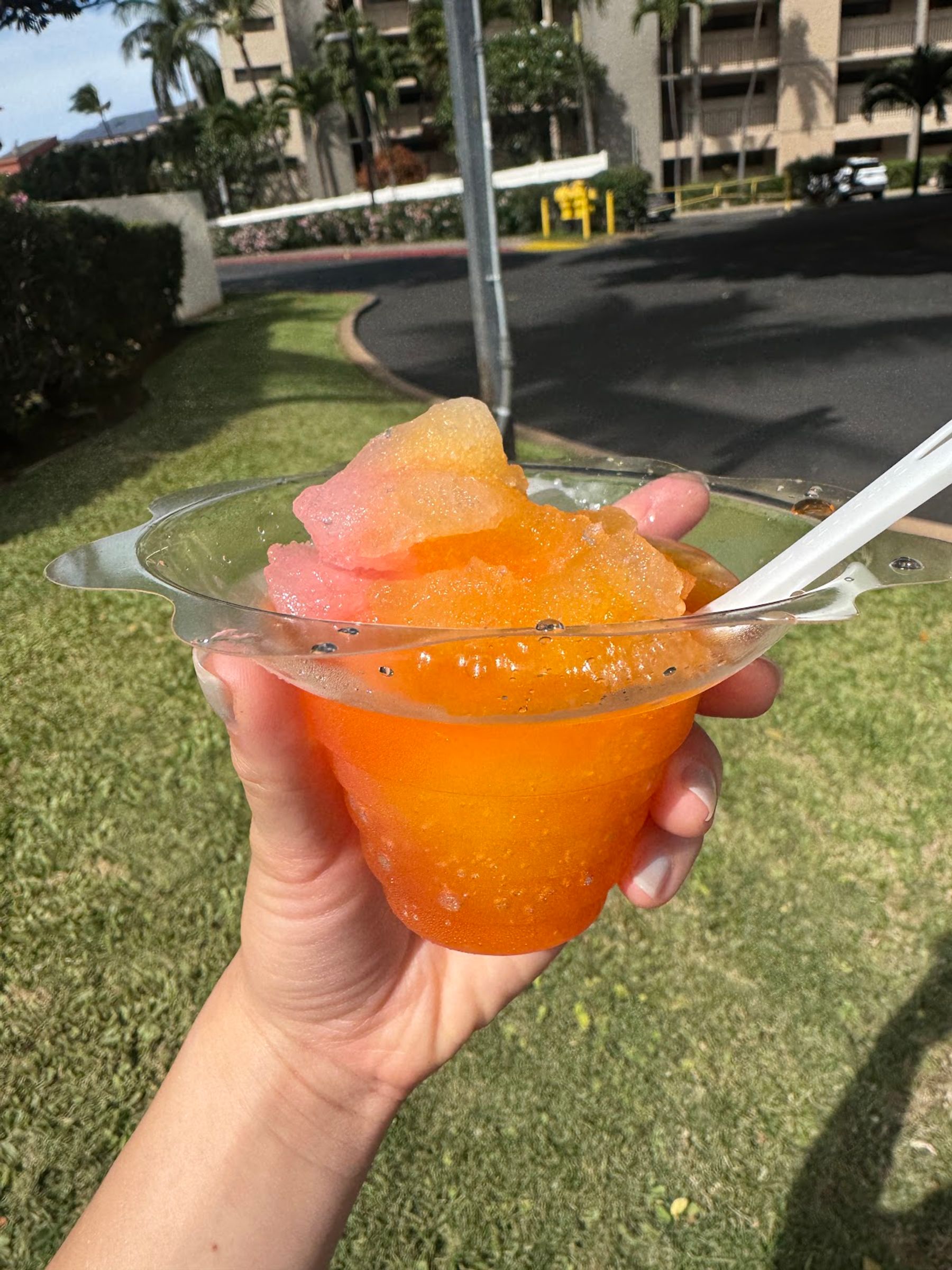 Photo 9 of Shave Ice In Paradise in Kāʻanapali, Maui
